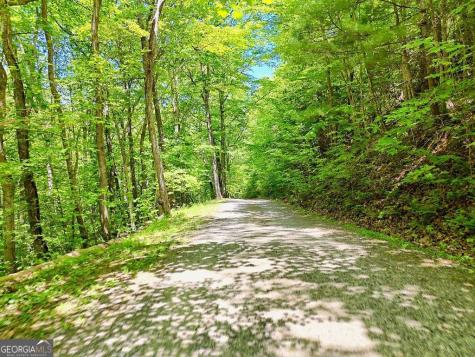 1127 Burch Branch Road Hiawassee GA 30546