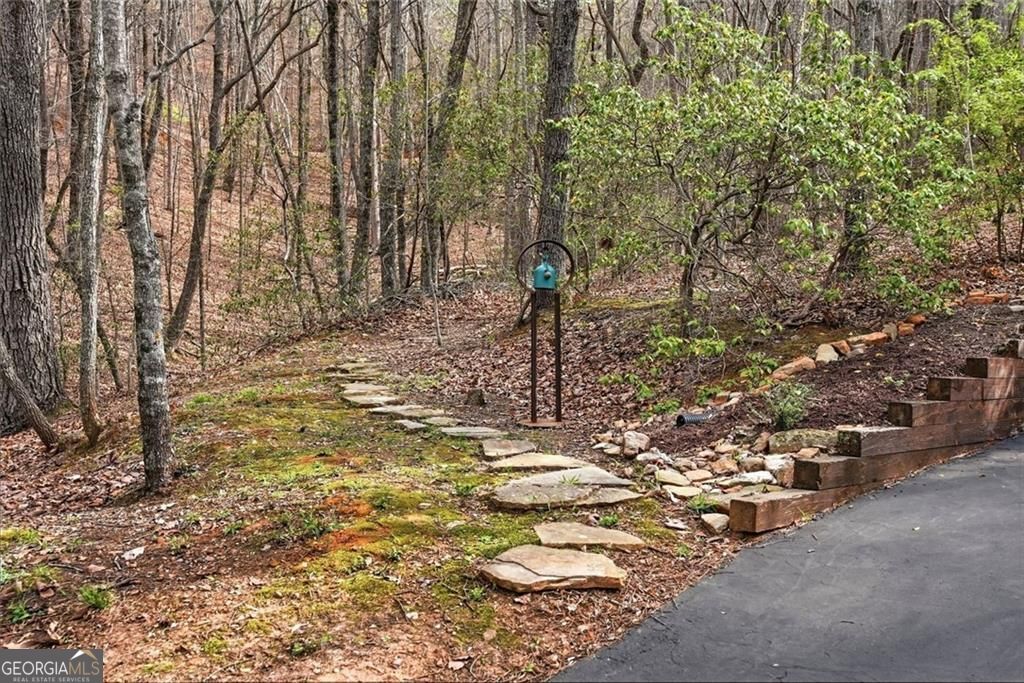 31 Wild Ginger Circle Jasper GA 30143