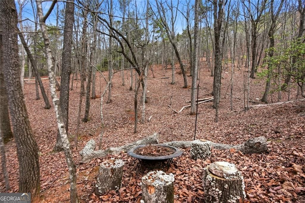 31 Wild Ginger Circle Jasper GA 30143