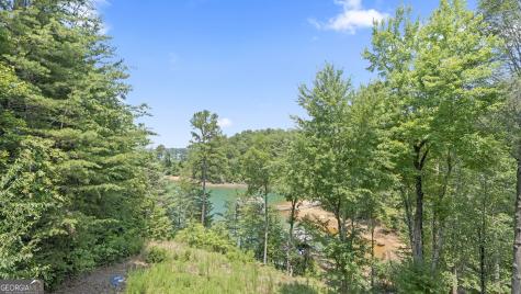84 Charlotte Drive Morganton GA 30560