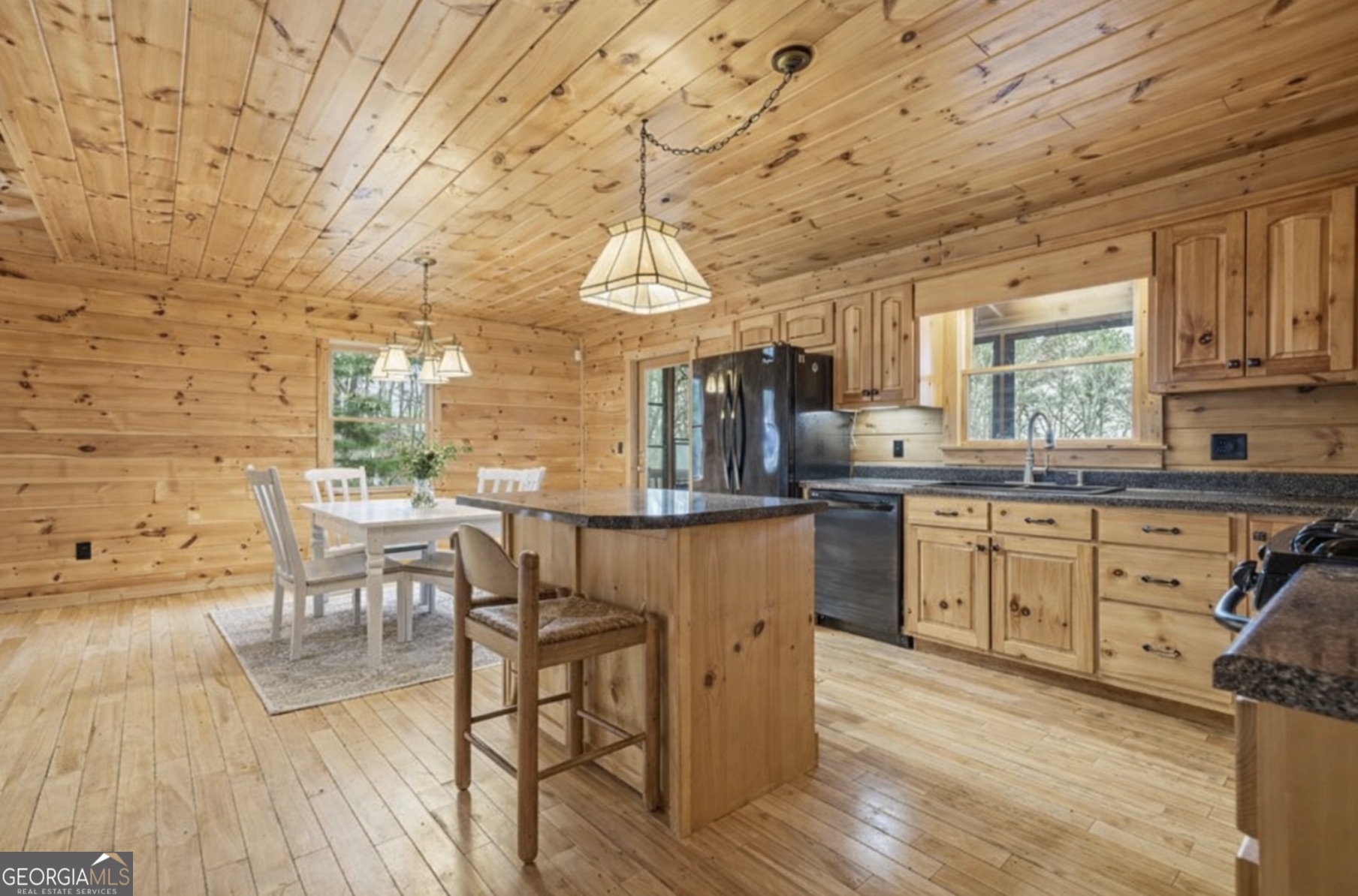 388 Palisade Drive Ellijay GA 30540