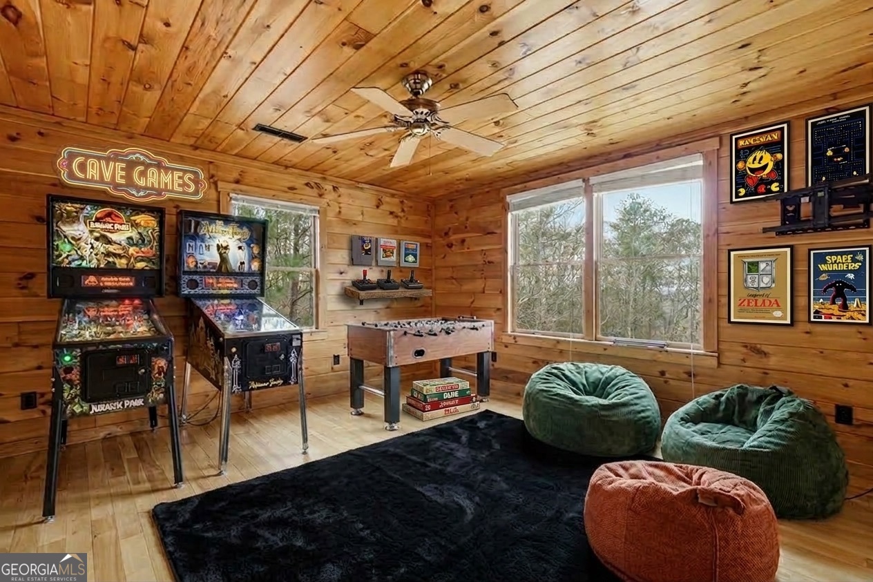 388 Palisade Drive Ellijay GA 30540