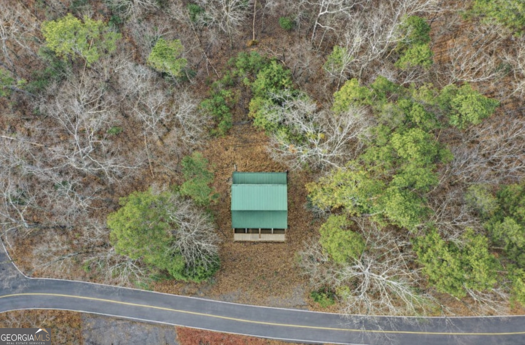 388 Palisade Drive Ellijay GA 30540