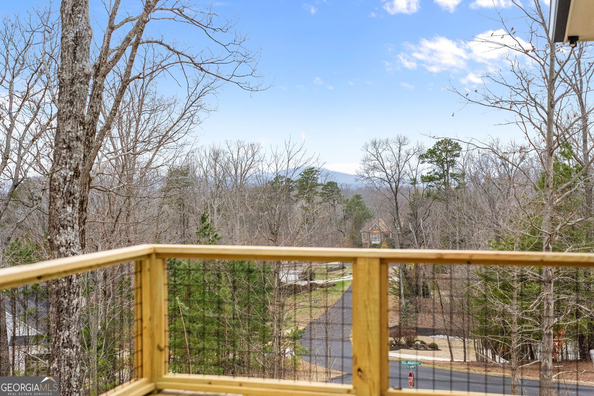 24 Teel Mountain Drive Cleveland GA 30528