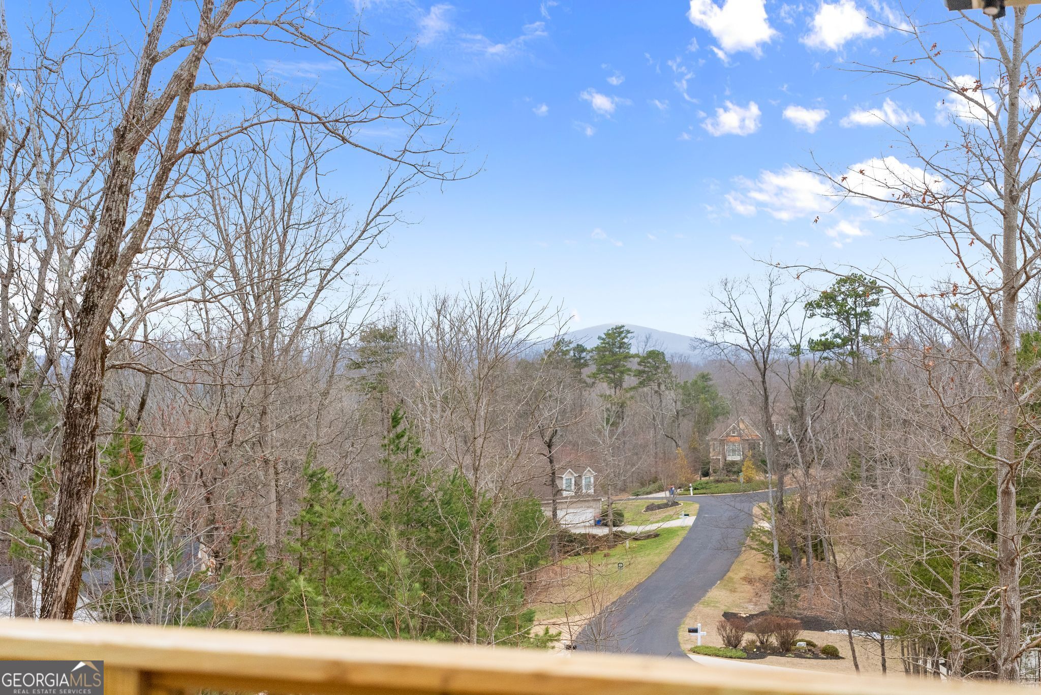 24 Teel Mountain Drive Cleveland GA 30528