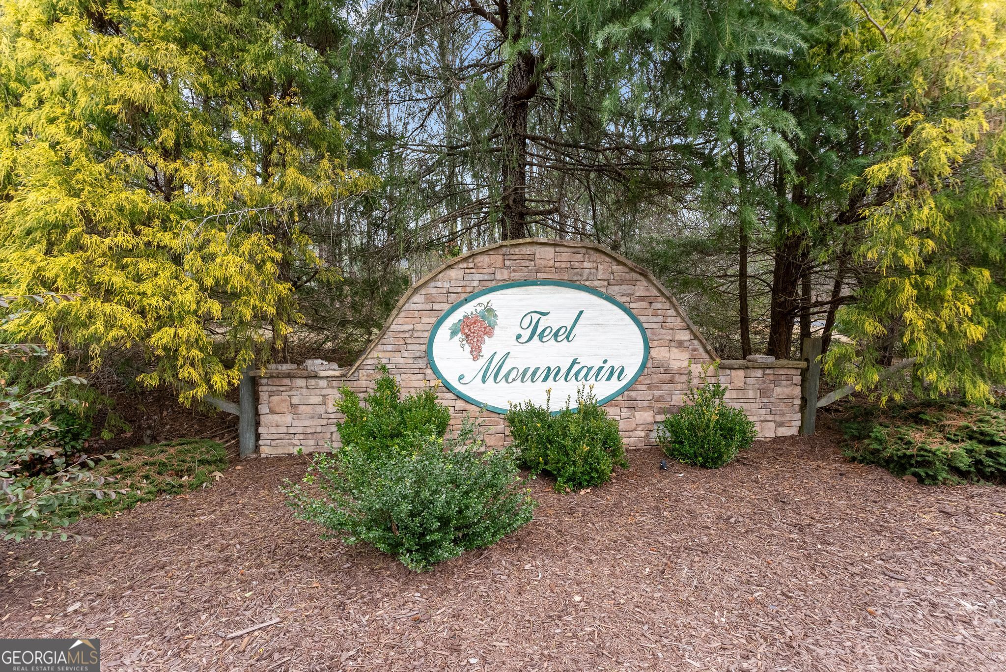 24 Teel Mountain Drive Cleveland GA 30528