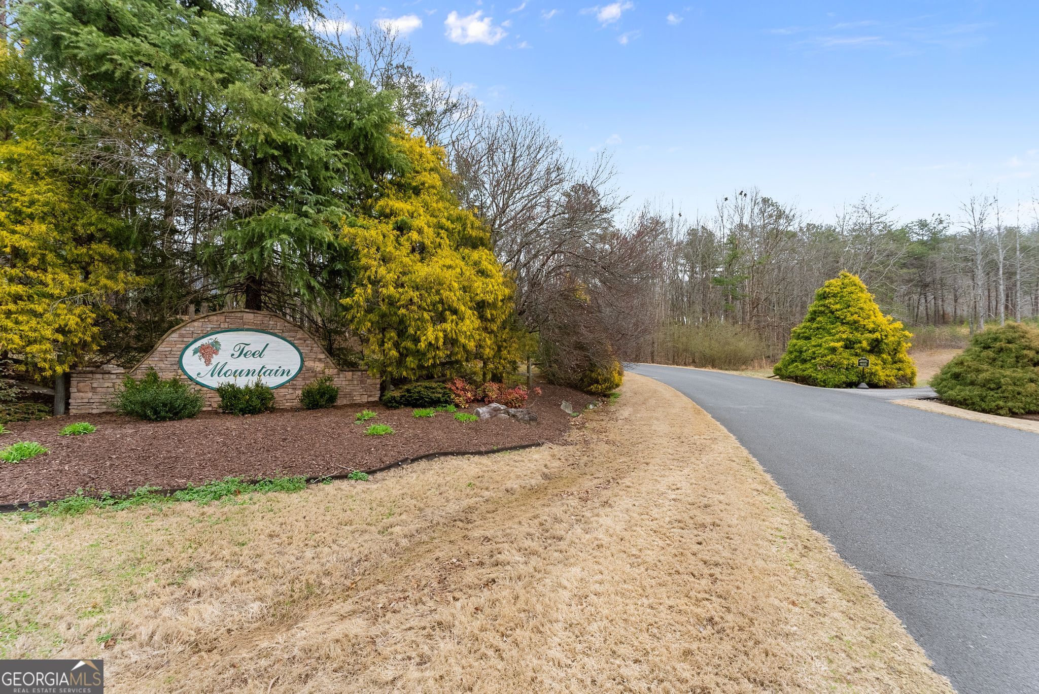 24 Teel Mountain Drive Cleveland GA 30528