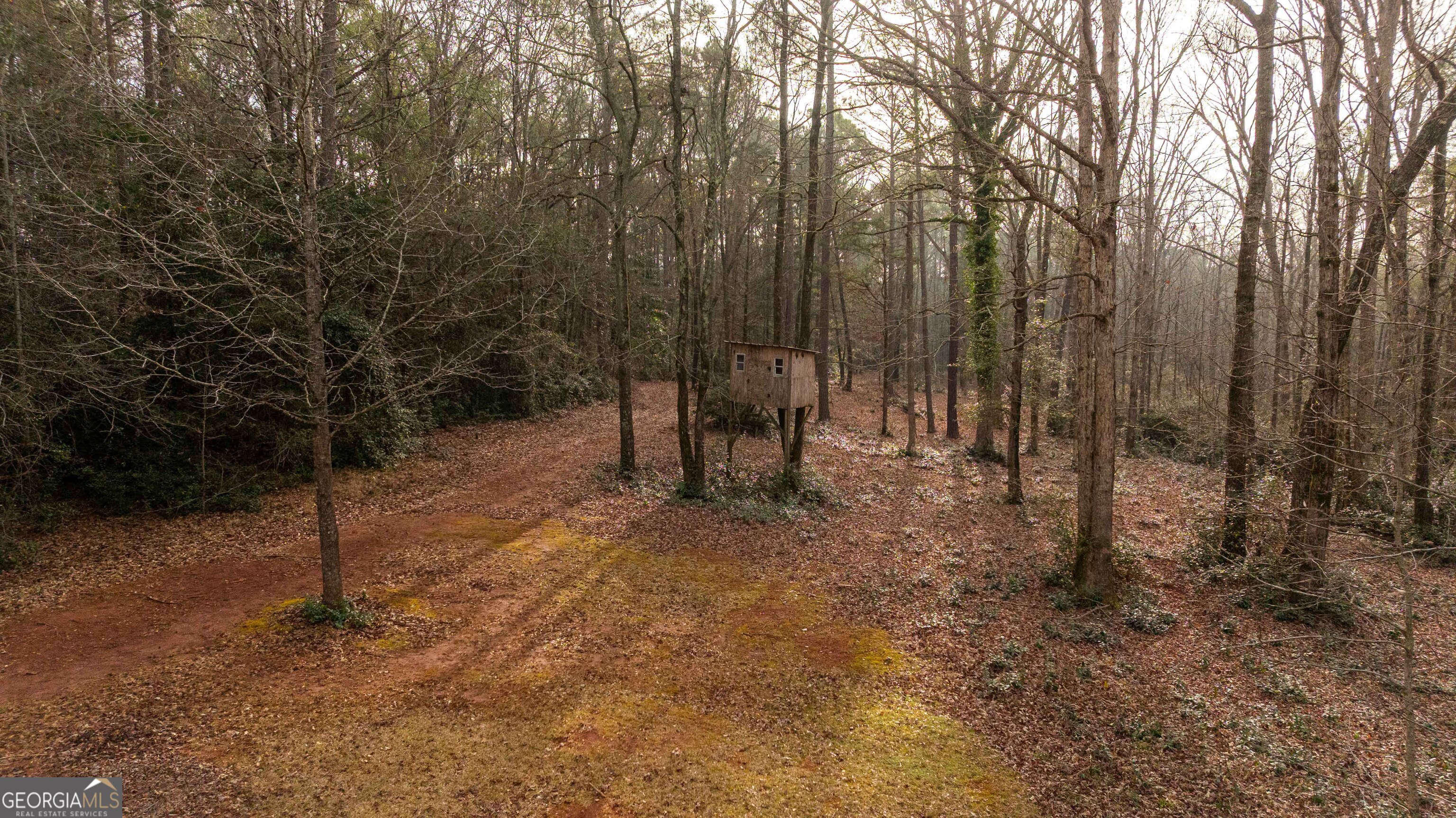 202 Daniel Road Thomaston GA 30286