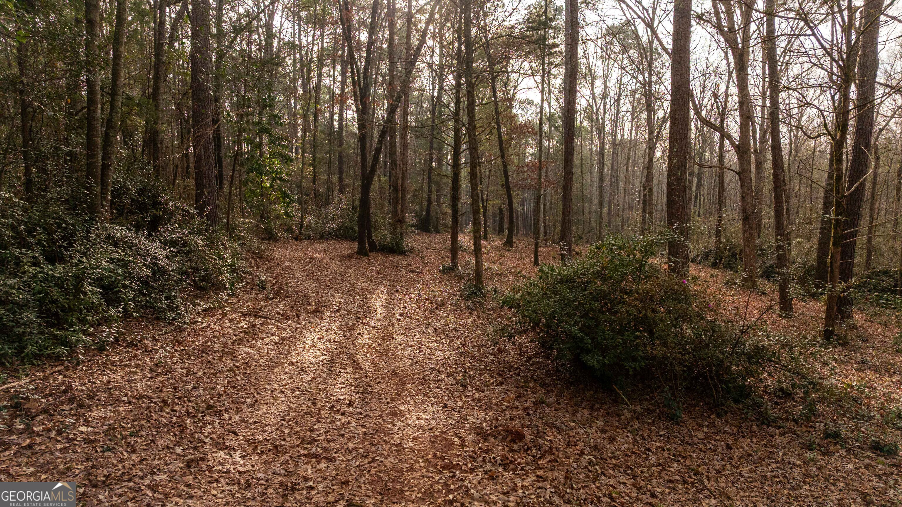 202 Daniel Road Thomaston GA 30286