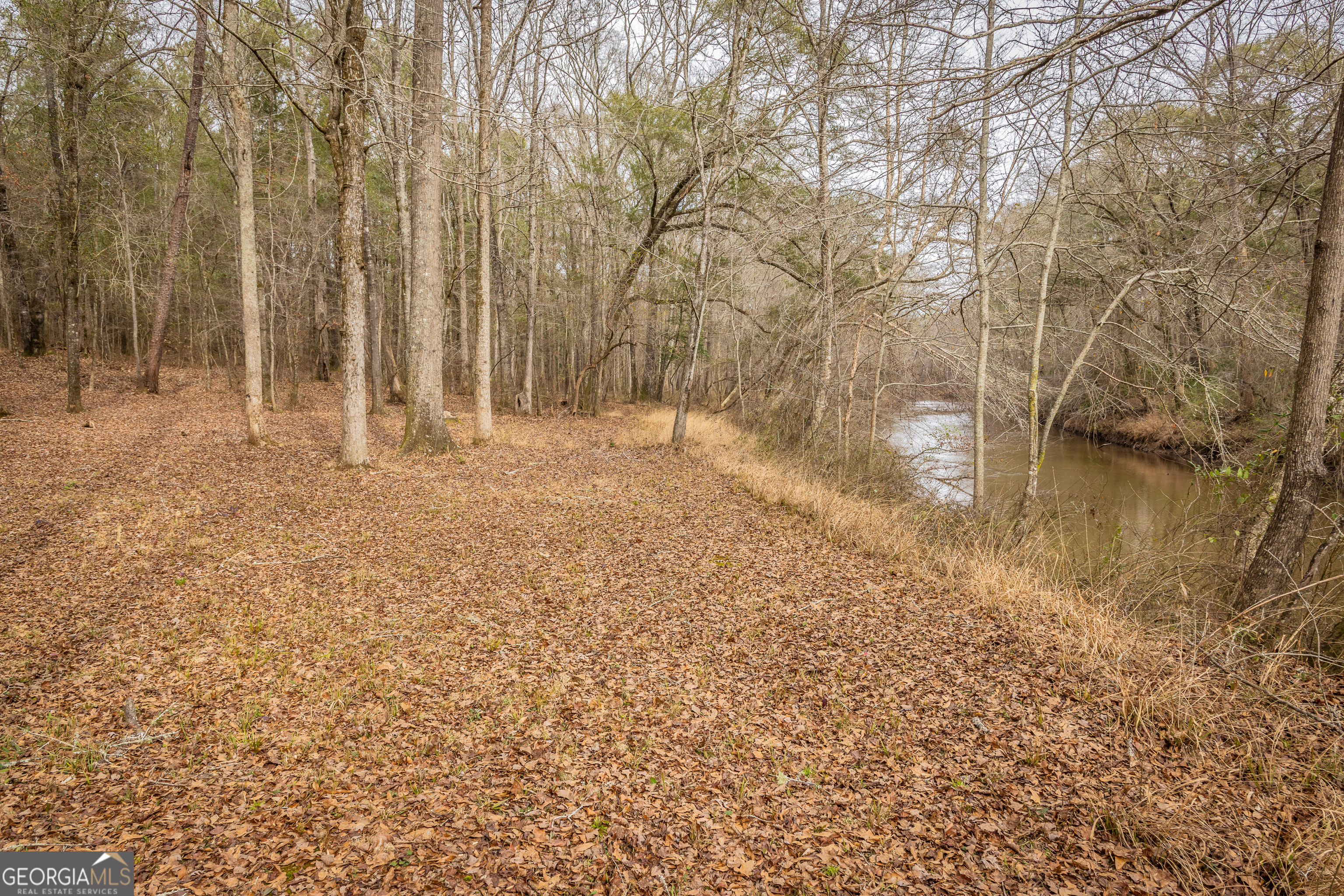 202 Daniel Road Thomaston GA 30286