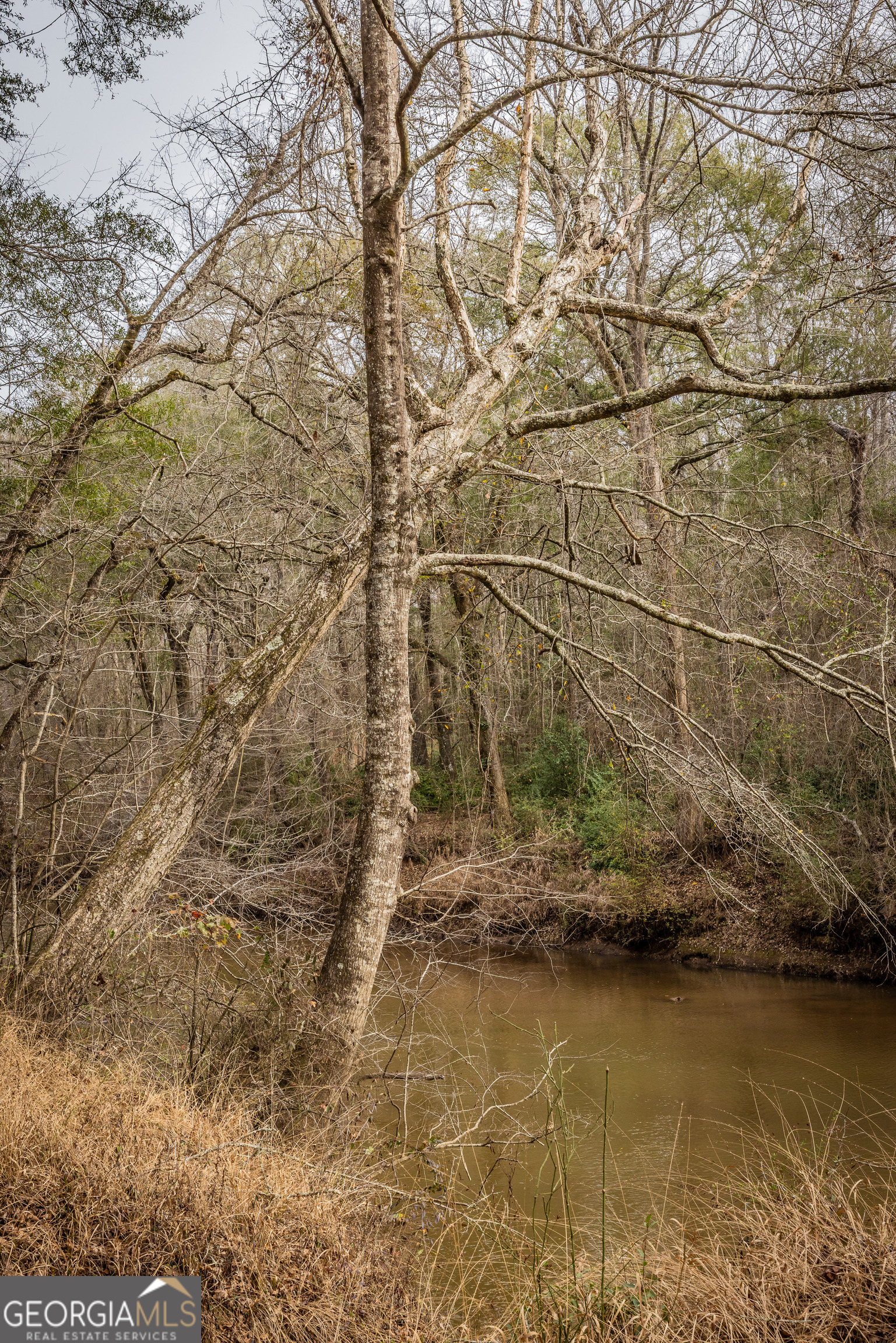 202 Daniel Road Thomaston GA 30286