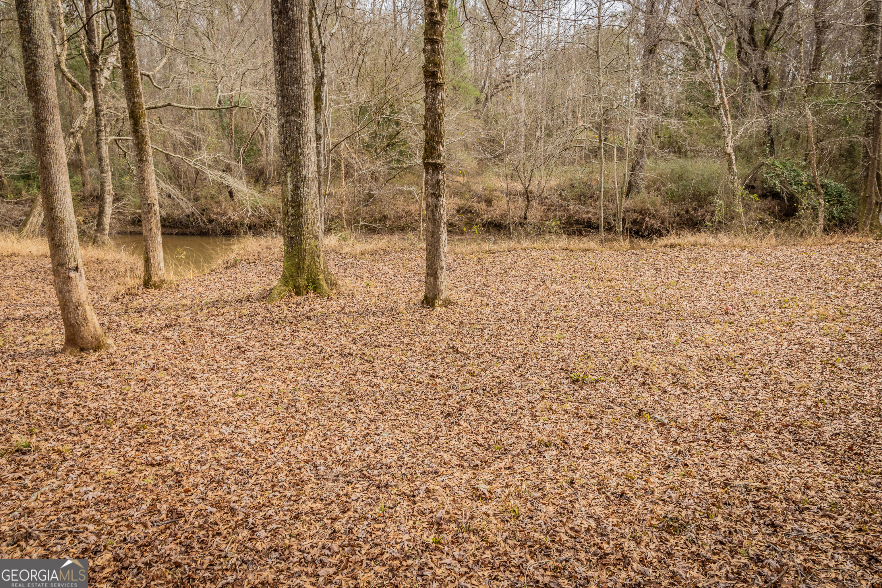 202 Daniel Road Thomaston GA 30286