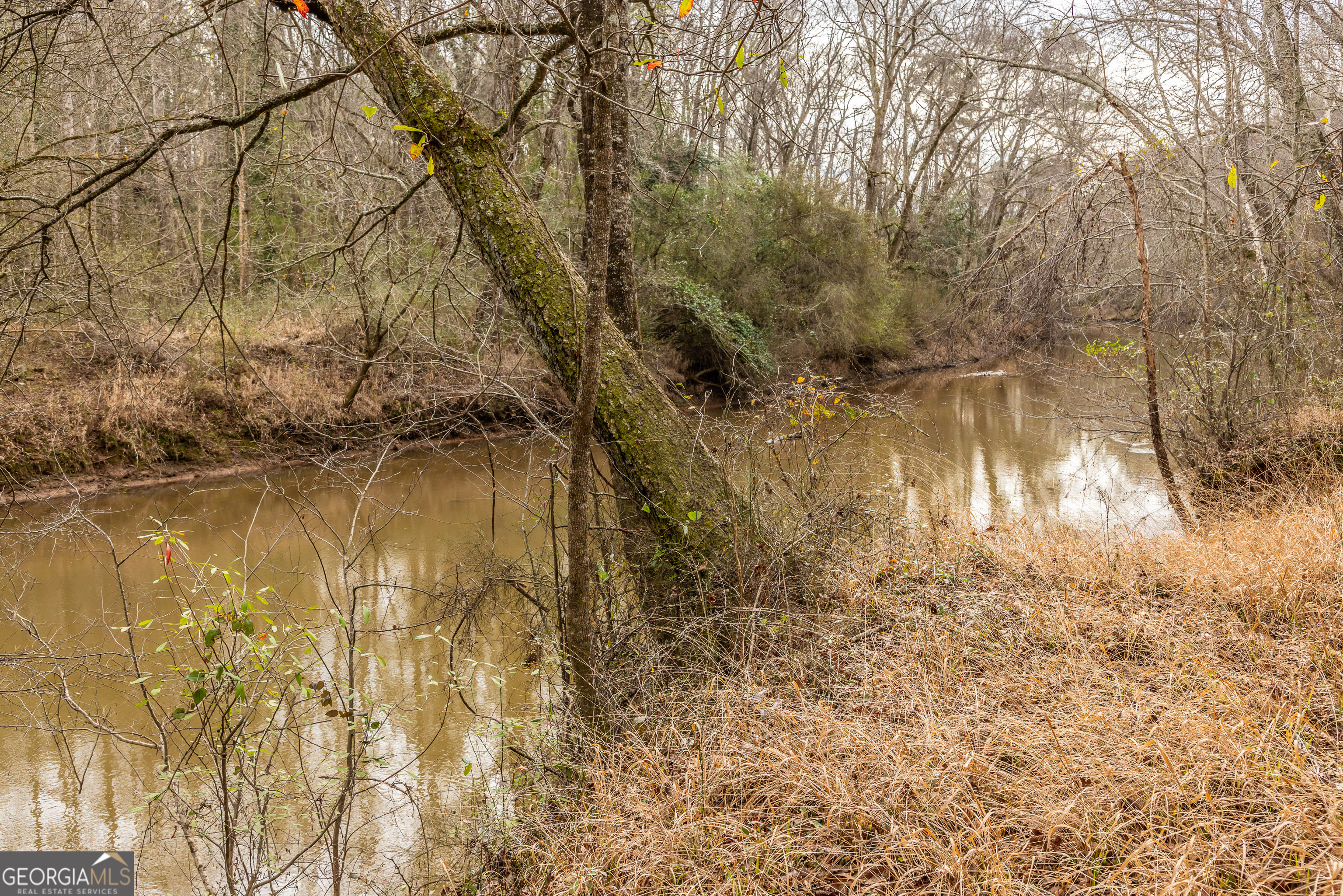 202 Daniel Road Thomaston GA 30286
