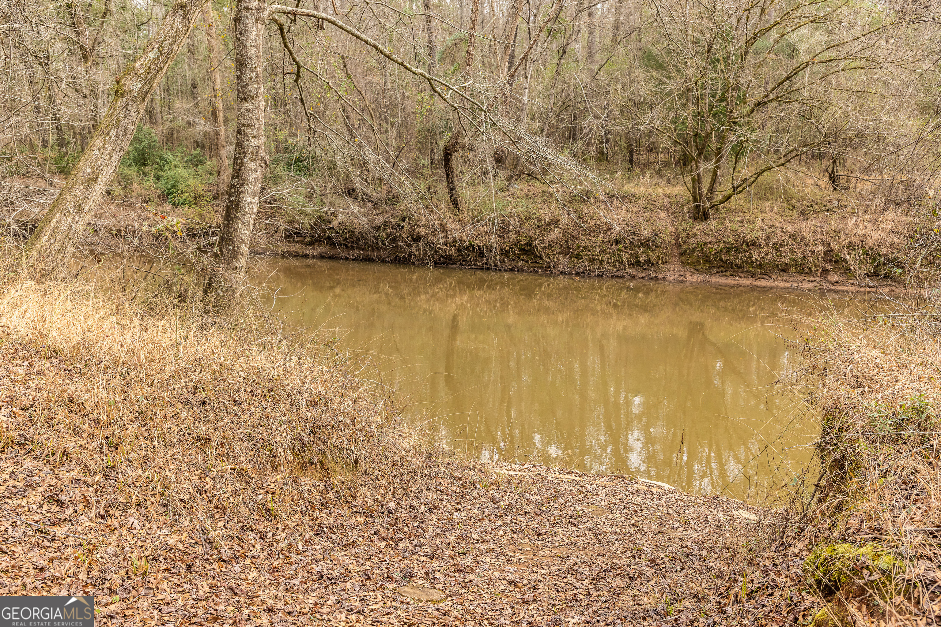202 Daniel Road Thomaston GA 30286