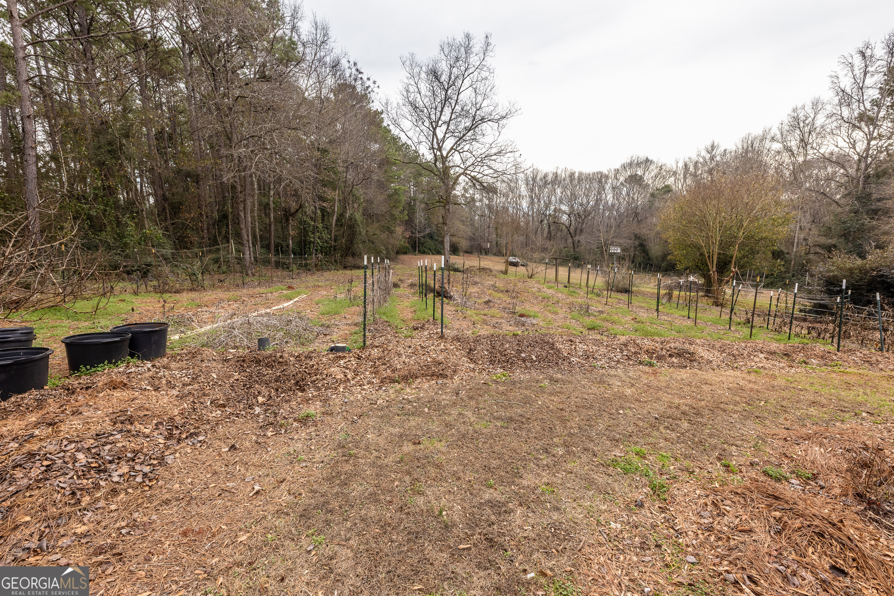 202 Daniel Road Thomaston GA 30286