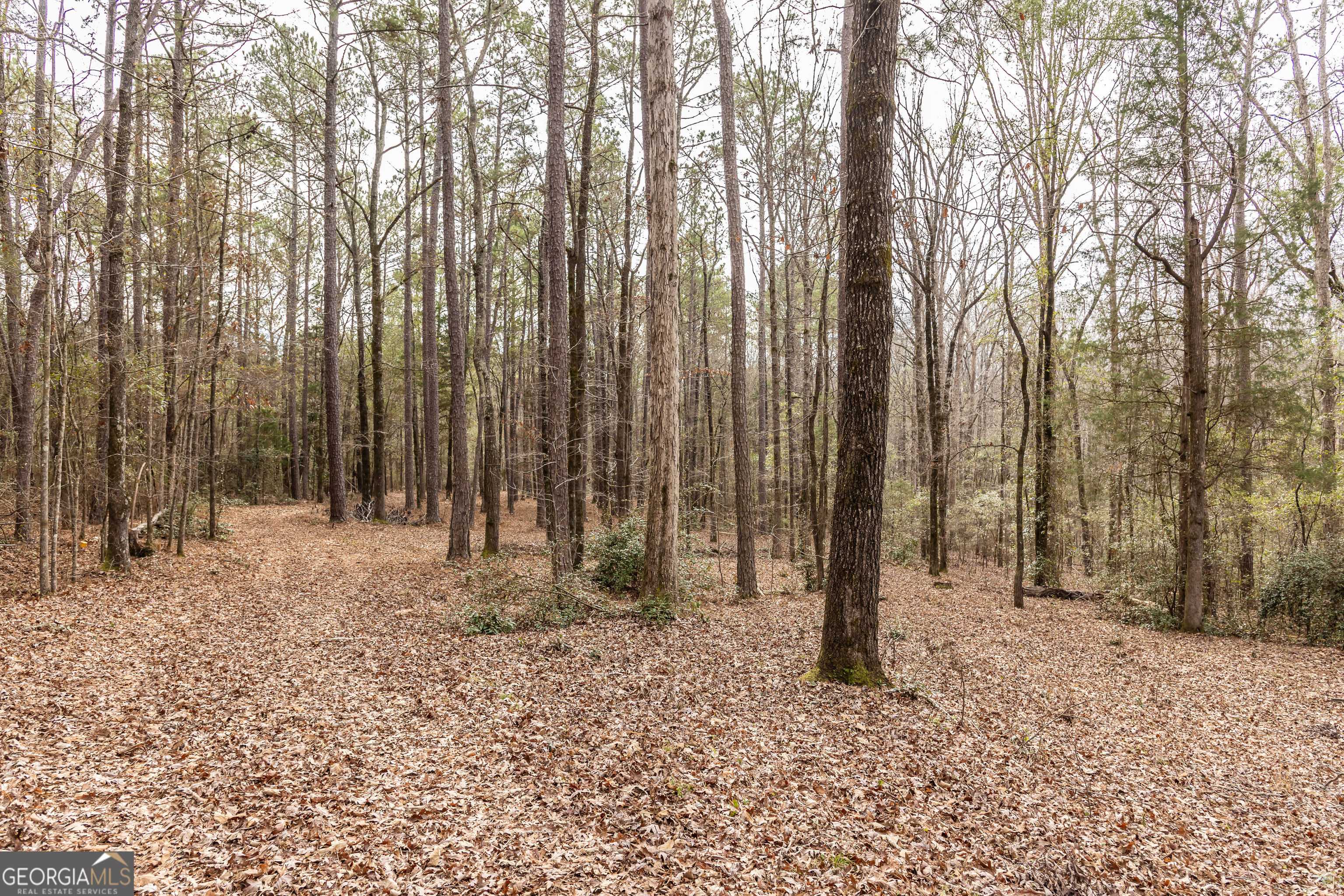 202 Daniel Road Thomaston GA 30286