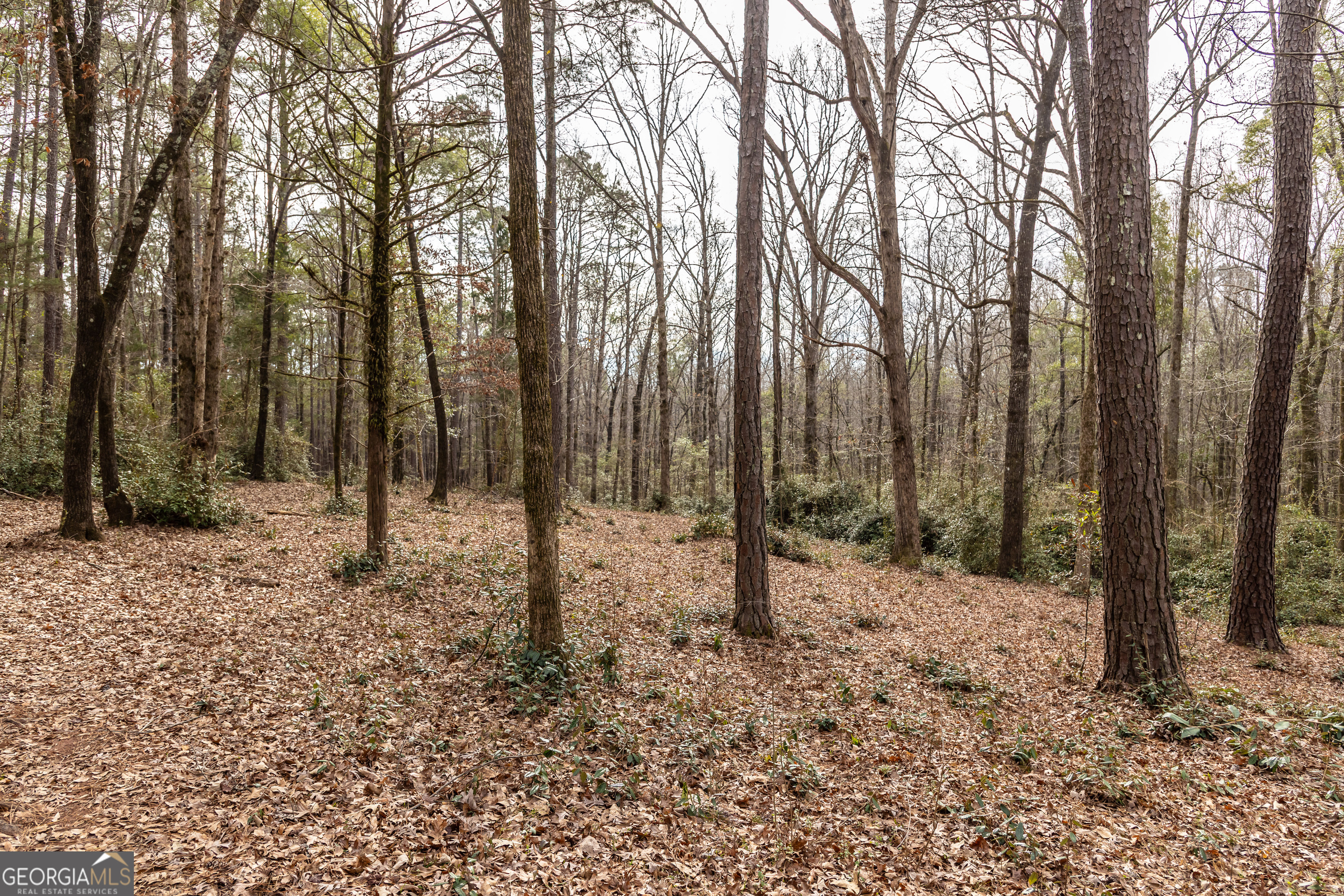 202 Daniel Road Thomaston GA 30286