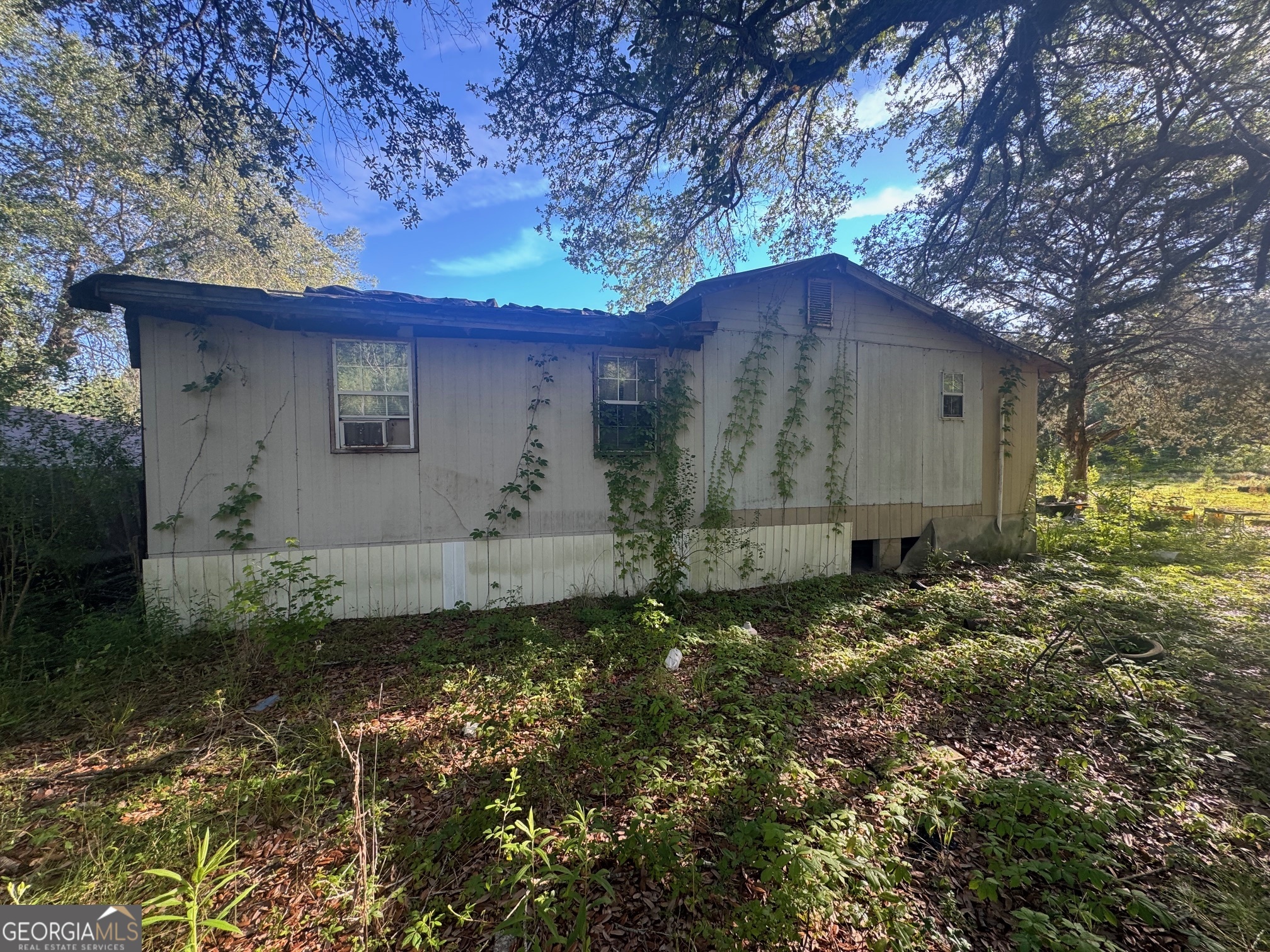 520 Powell Road Blakely GA 39823