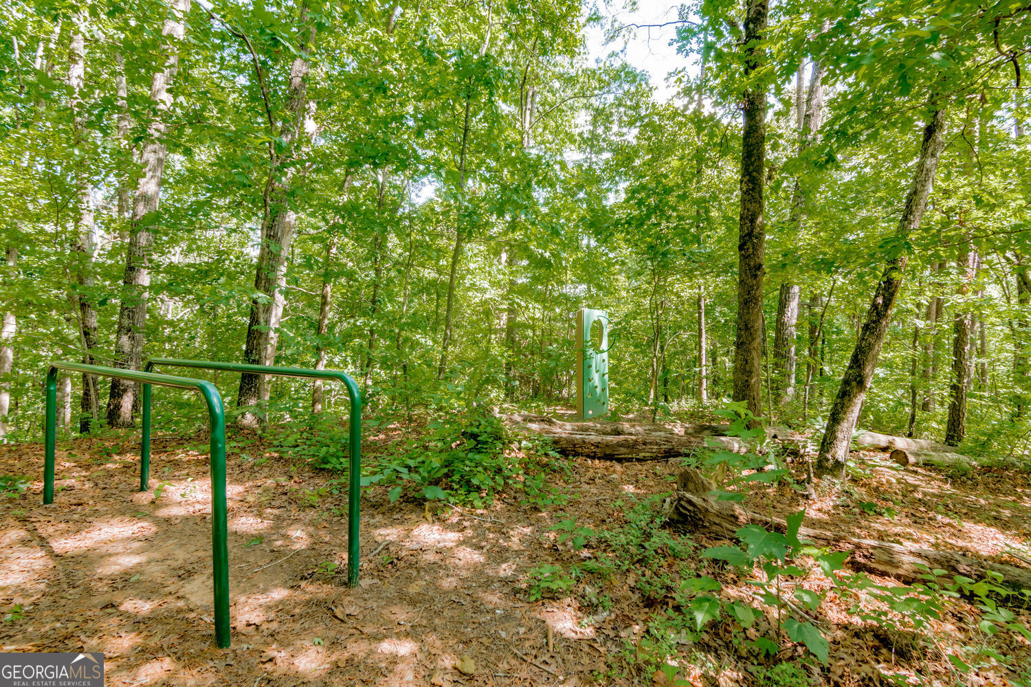 201 Lakeside Place Canton GA 30114