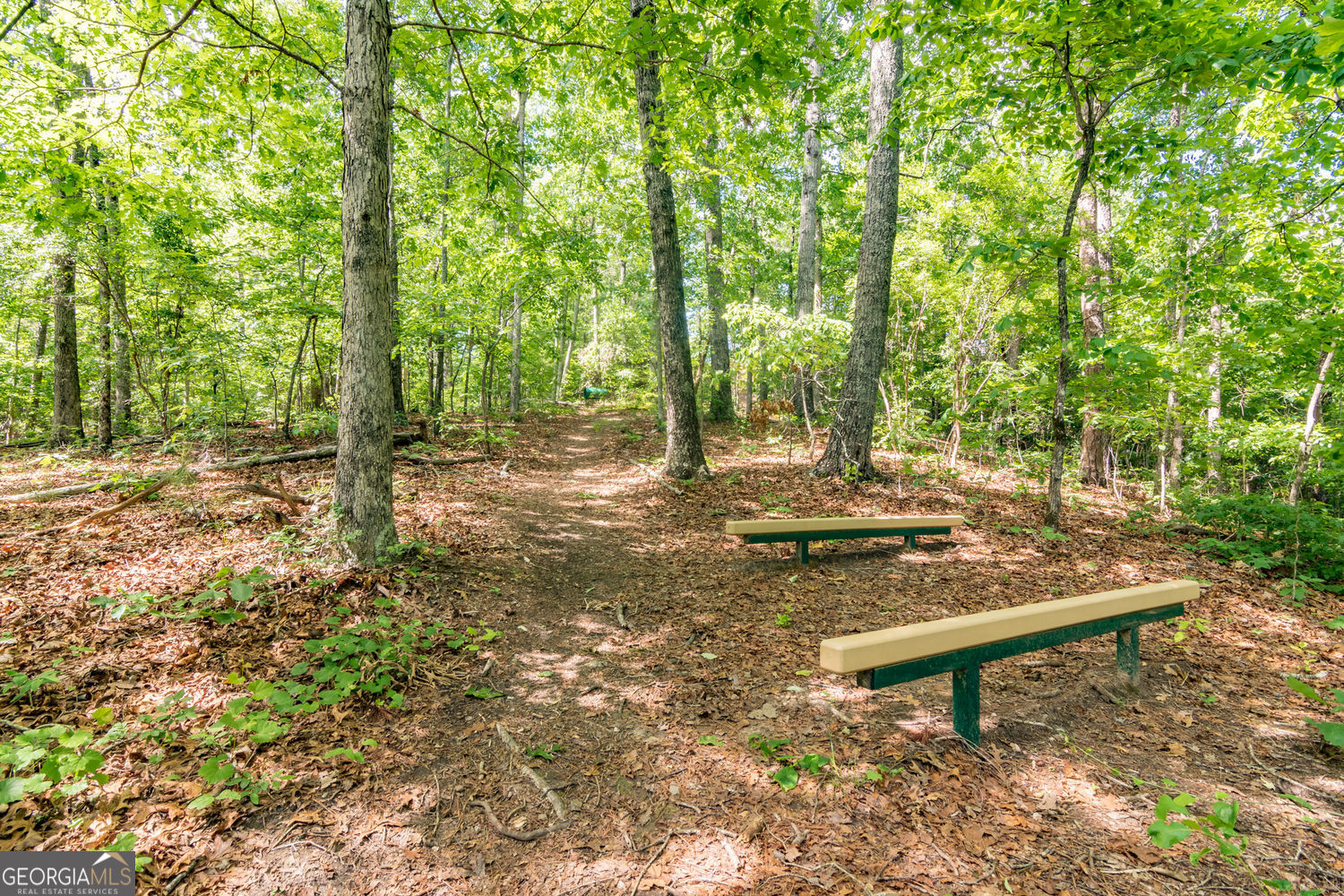 201 Lakeside Place Canton GA 30114