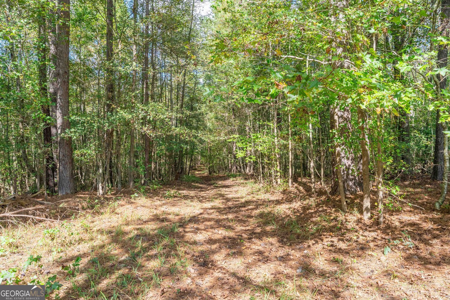 5111 Greensboro Road Washington GA 30673