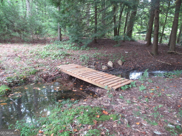 191 Tumlin Creek Road Roopville GA 30170