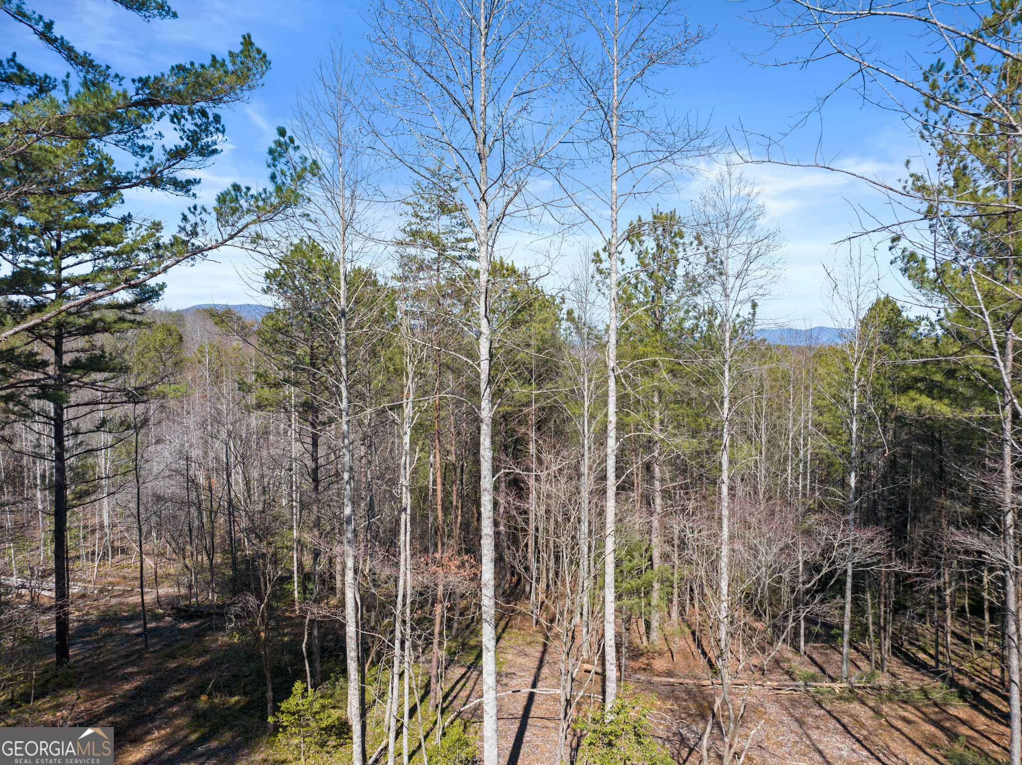 3382 Lickskillet Road Epworth GA 30541