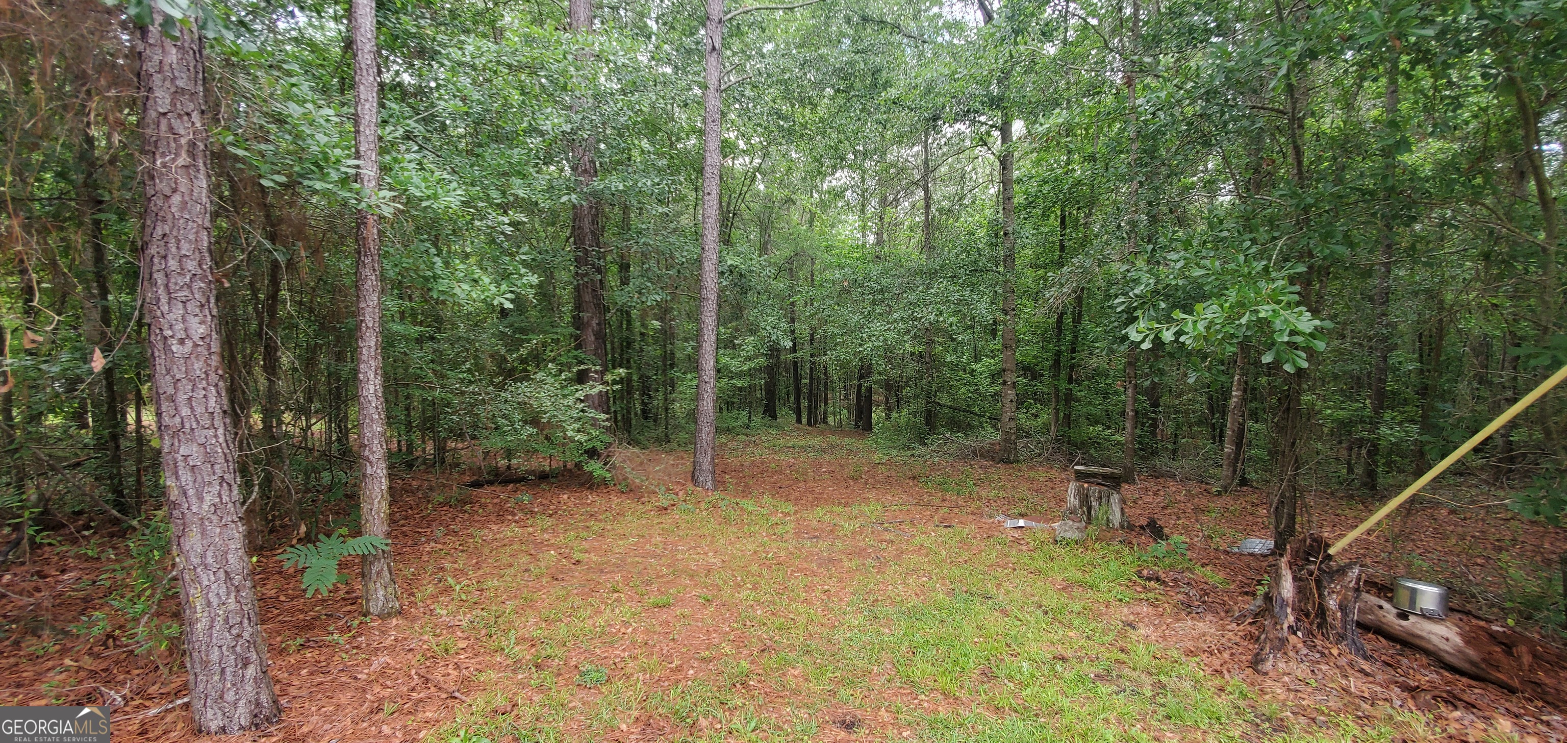 132 N Ocmulgee Boulevard Jacksonville GA 31544
