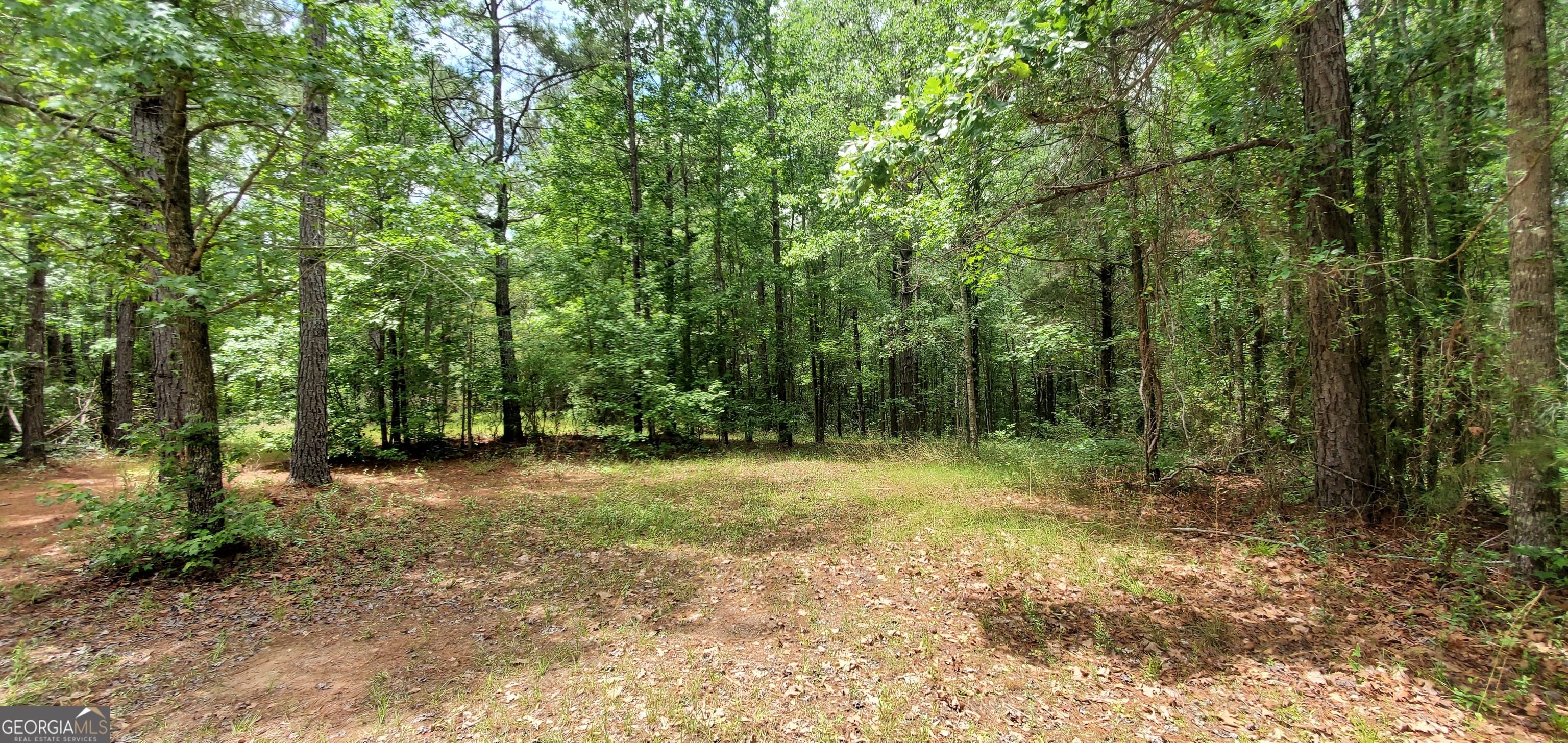 132 N Ocmulgee Boulevard Jacksonville GA 31544