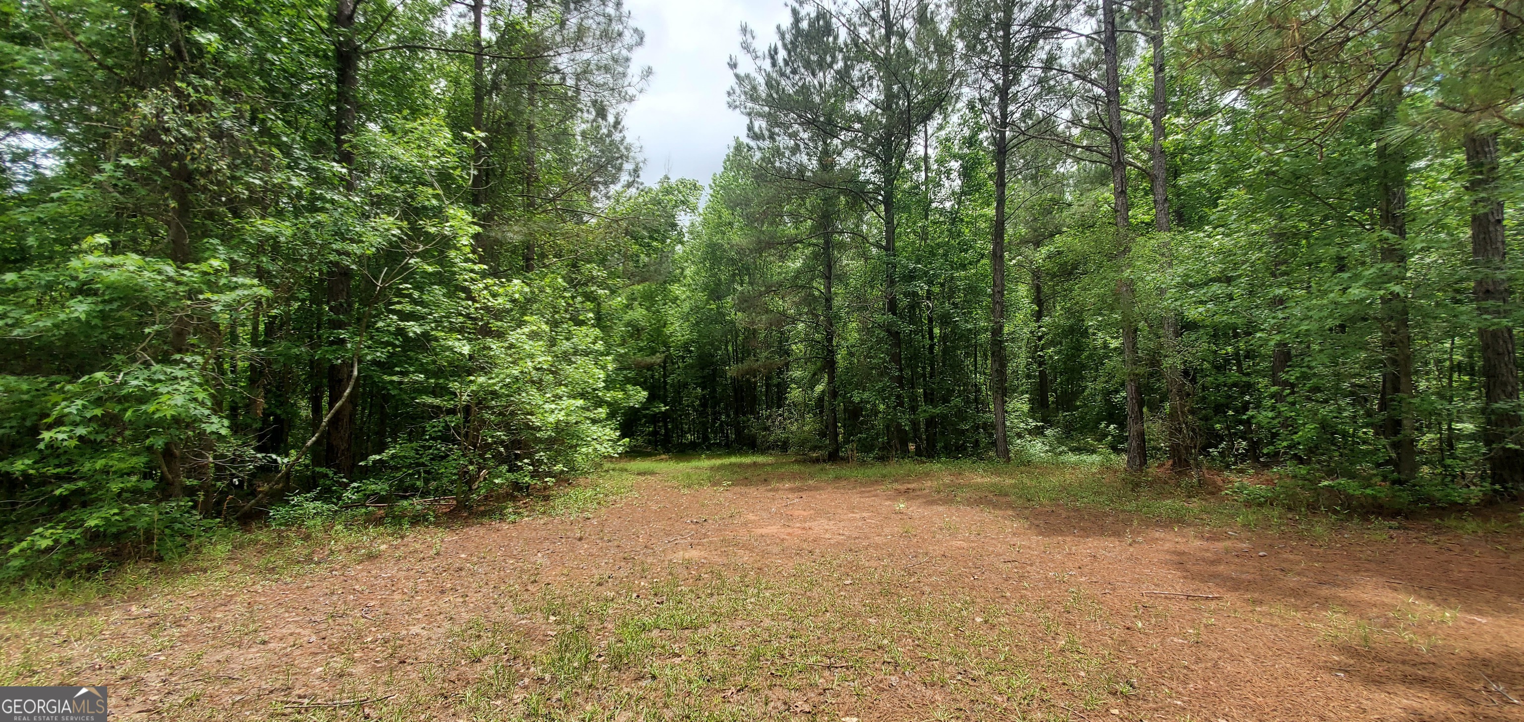 132 N Ocmulgee Boulevard Jacksonville GA 31544