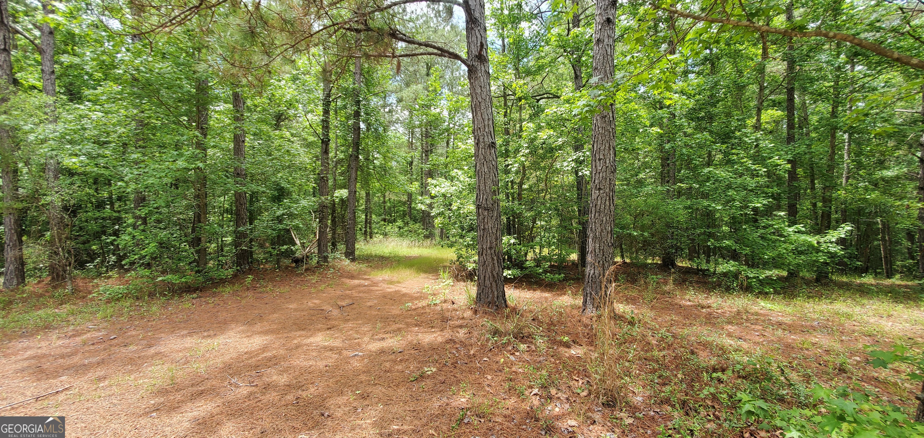132 N Ocmulgee Boulevard Jacksonville GA 31544
