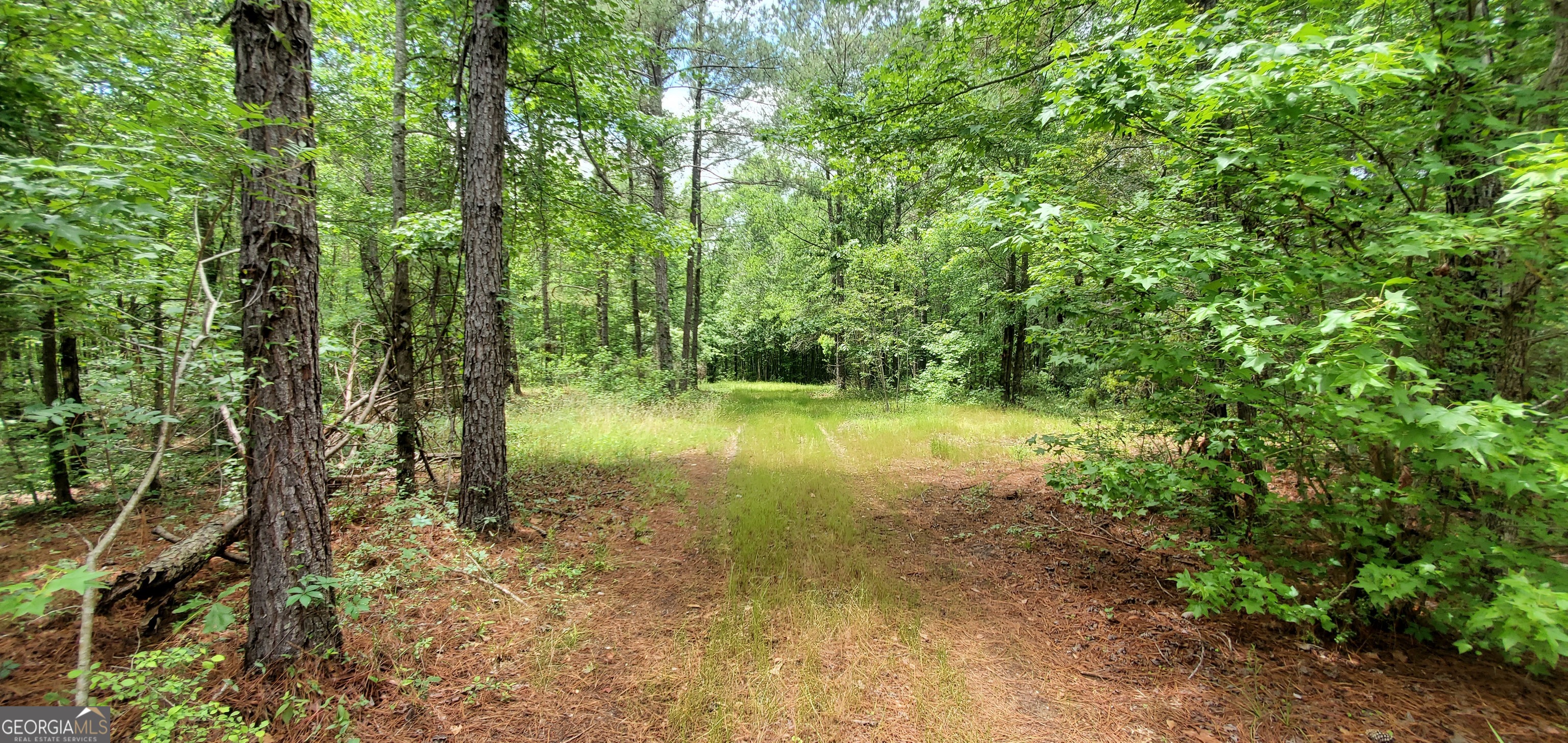 132 N Ocmulgee Boulevard Jacksonville GA 31544