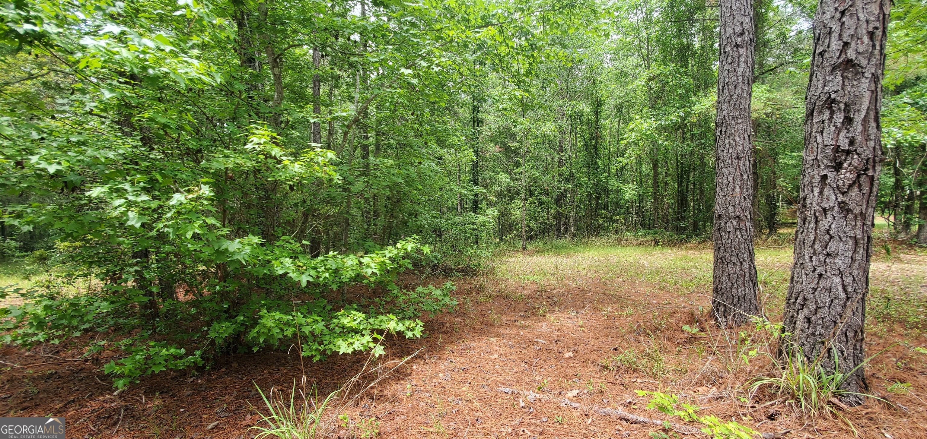 132 N Ocmulgee Boulevard Jacksonville GA 31544