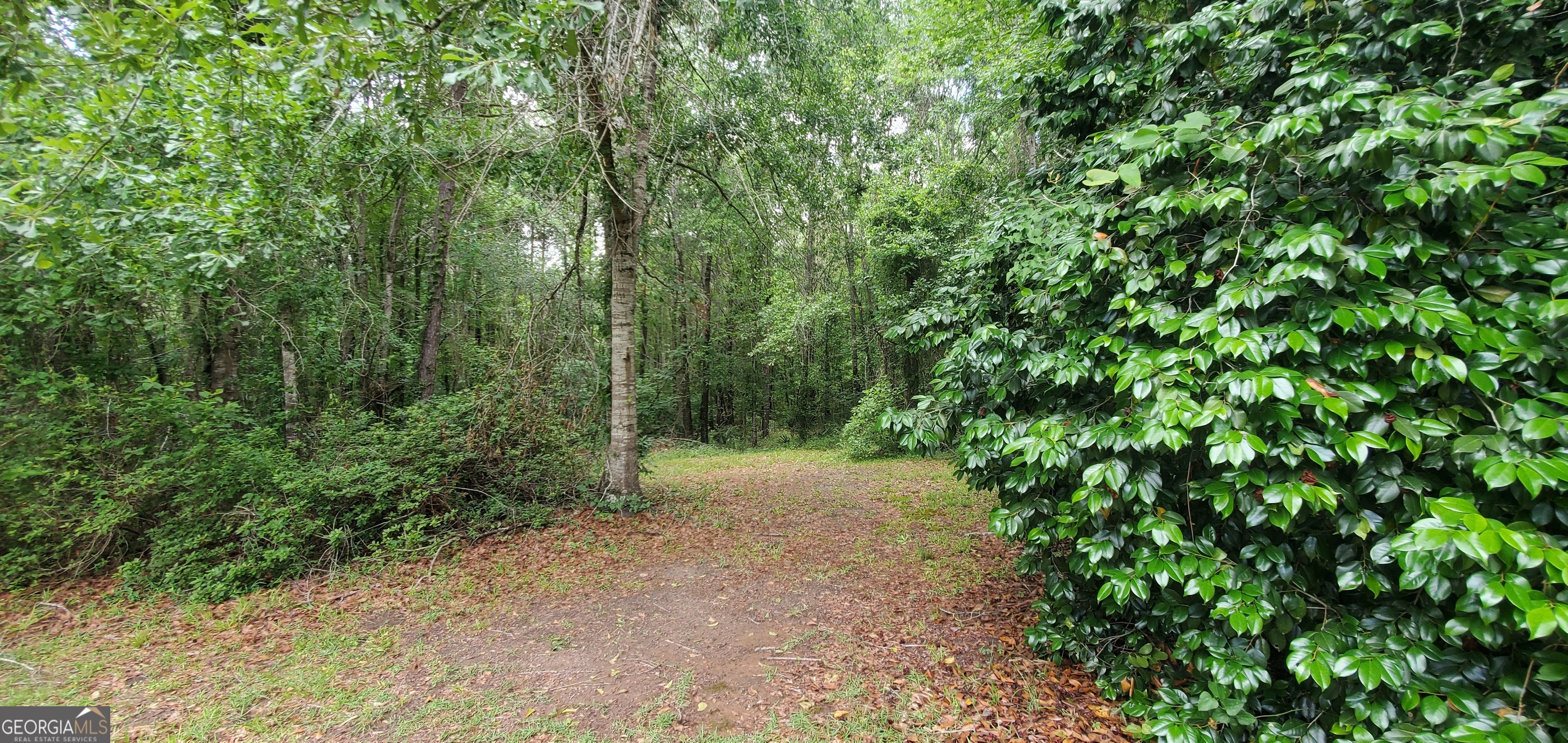 132 N Ocmulgee Boulevard Jacksonville GA 31544