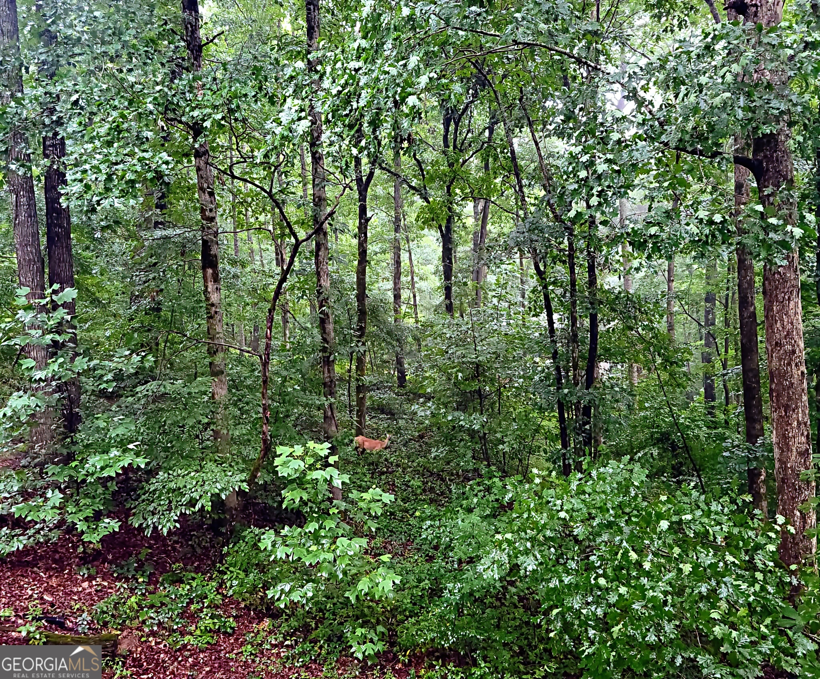 324 Sutallee Place White GA 30184