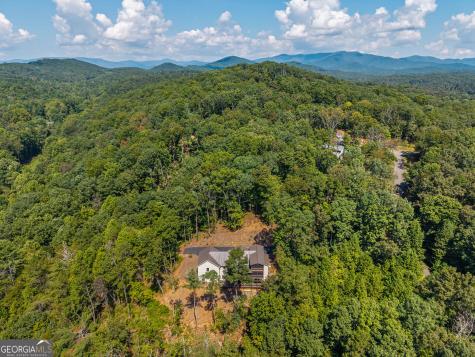 60 Weeks Lane Ellijay GA 30540
