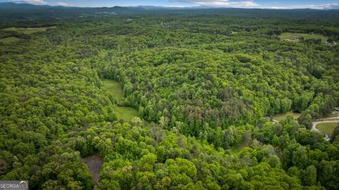 60 Weeks Lane Ellijay GA 30540