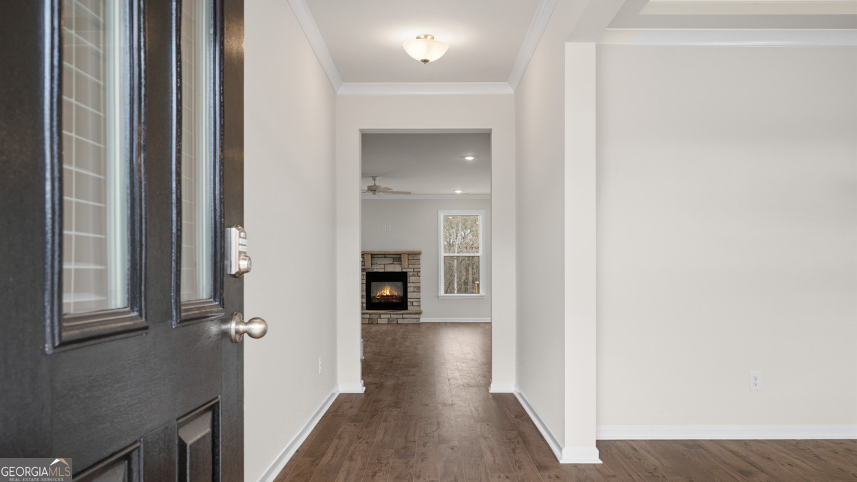 1921 Endress Circle Hampton GA 30228