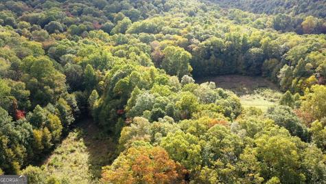 0 Lloyds Cove Scaly Mountain NC 28775