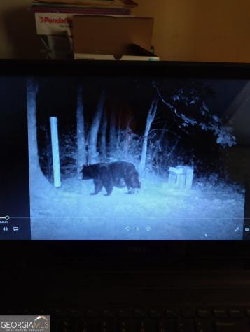 0 Lloyds Cove Scaly Mountain NC 28775