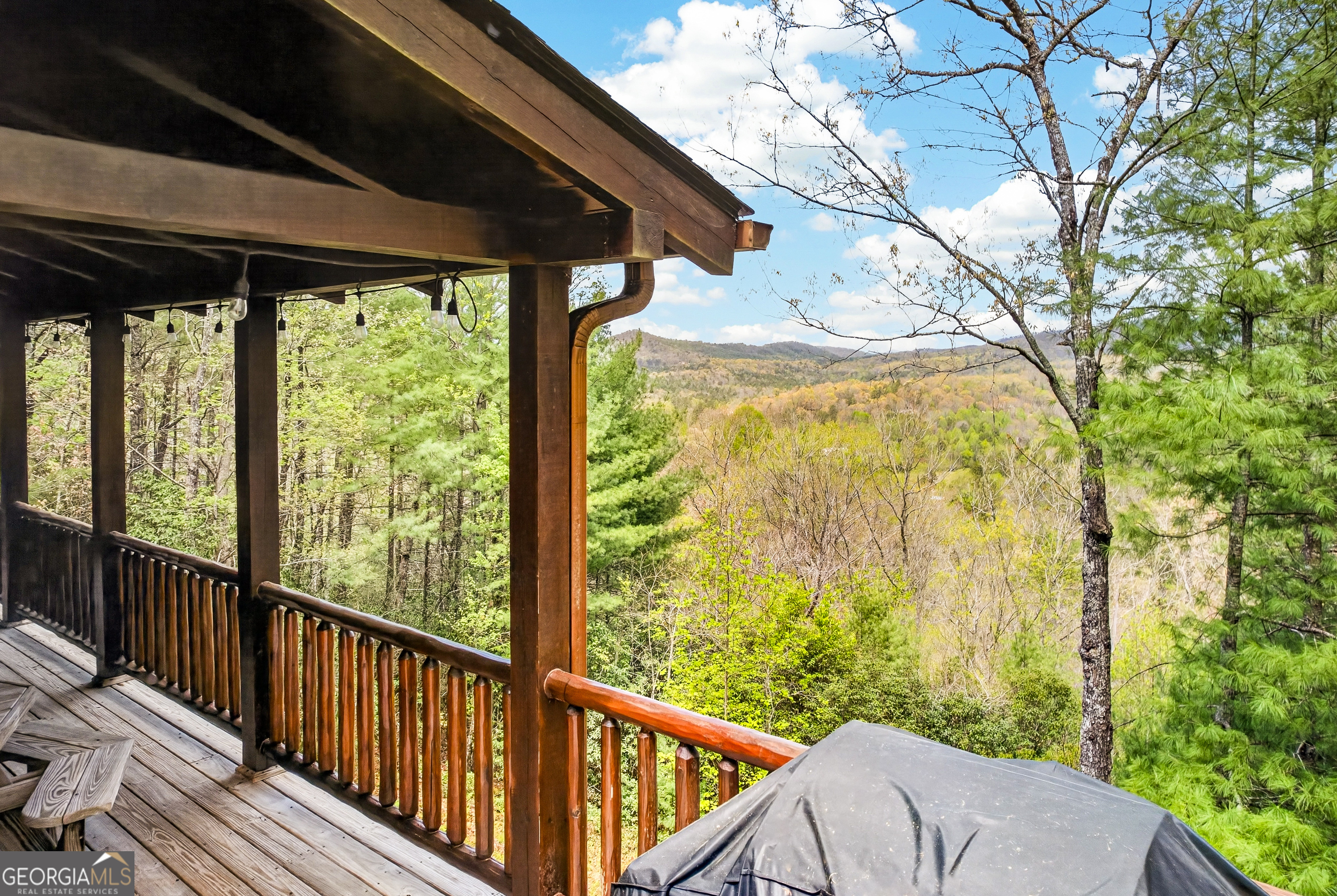 425 Rhonda Lane Mineral Bluff GA 30559