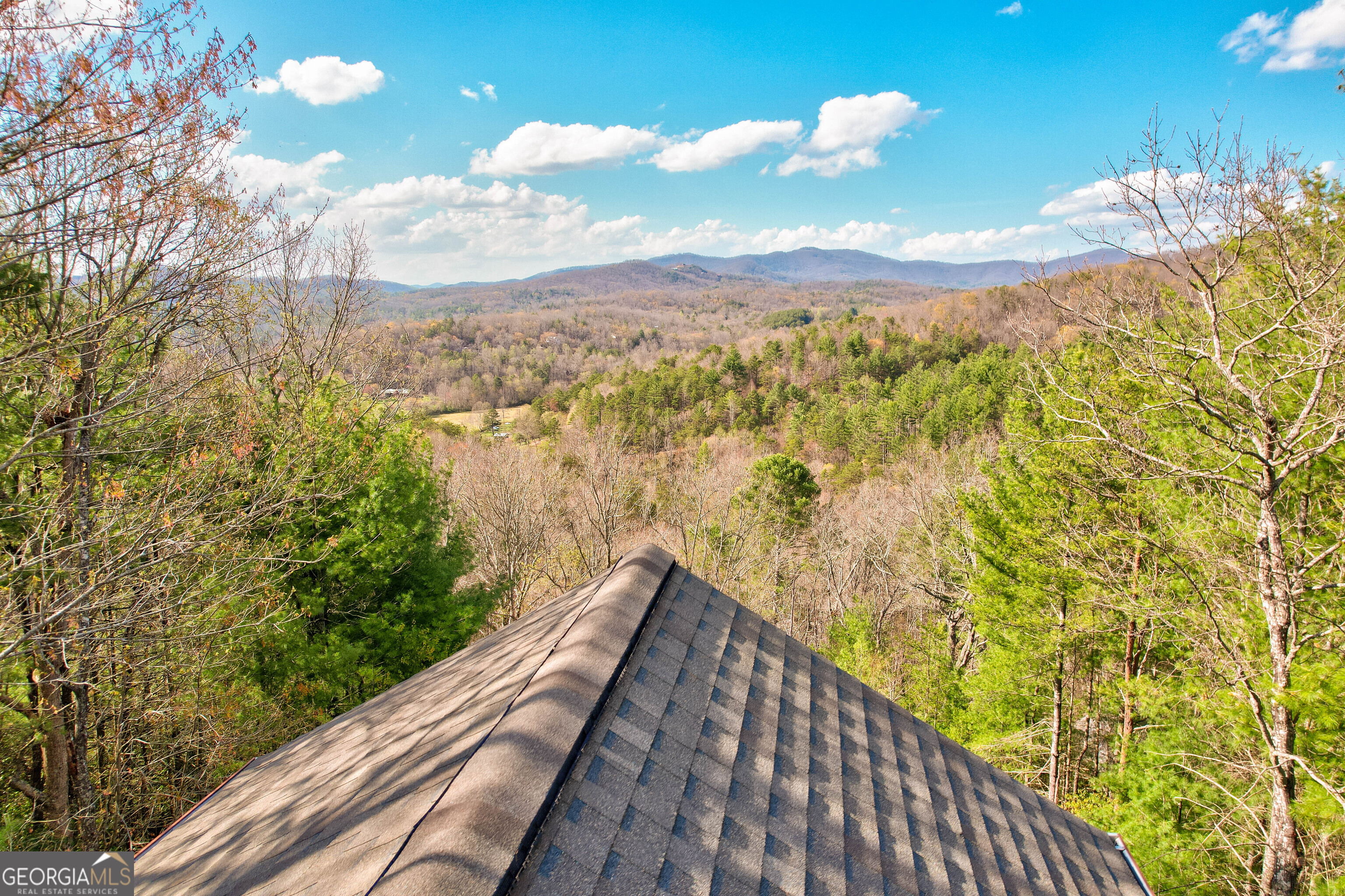 425 Rhonda Lane Mineral Bluff GA 30559
