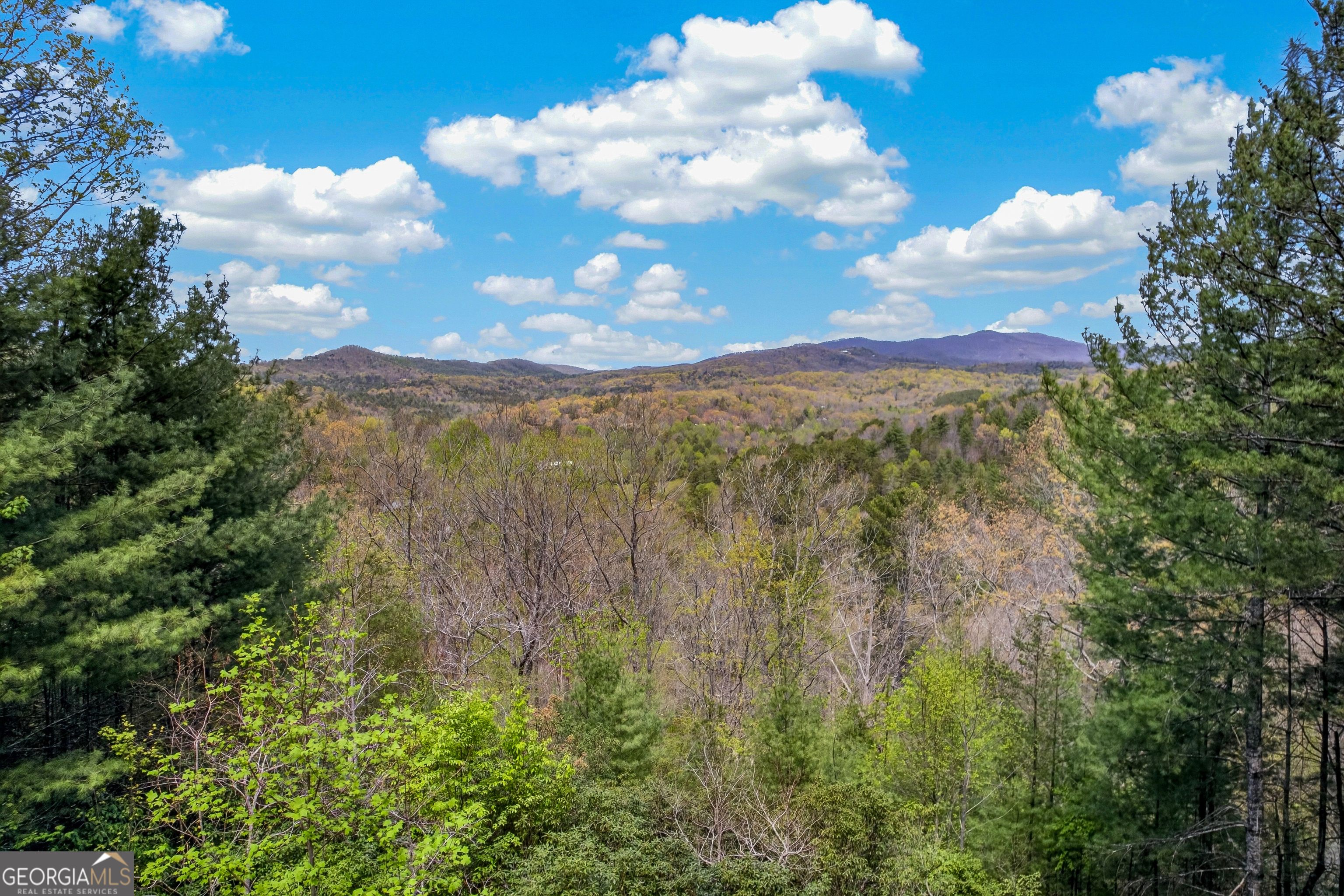 425 Rhonda Lane Mineral Bluff GA 30559