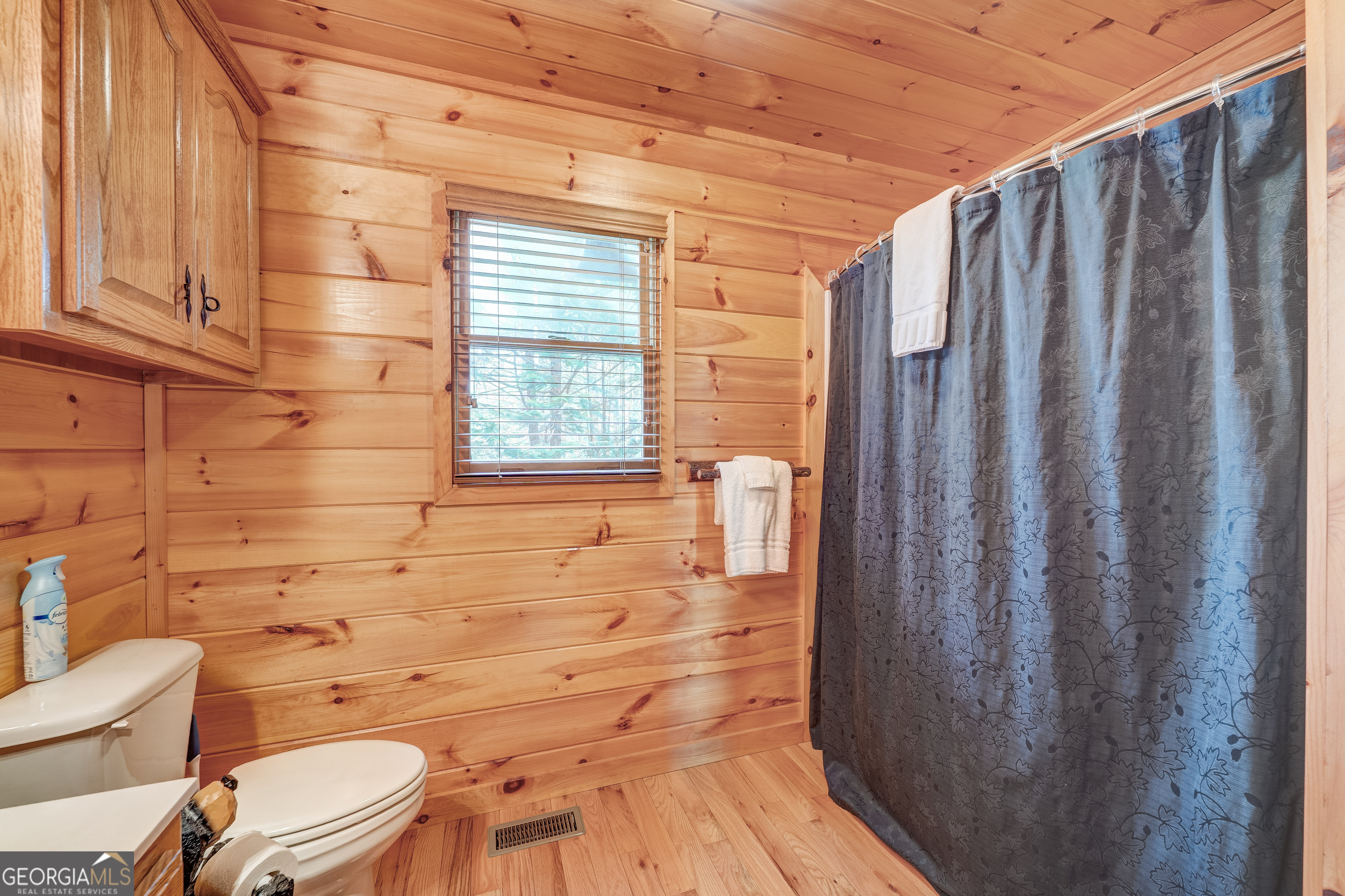 425 Rhonda Lane Mineral Bluff GA 30559