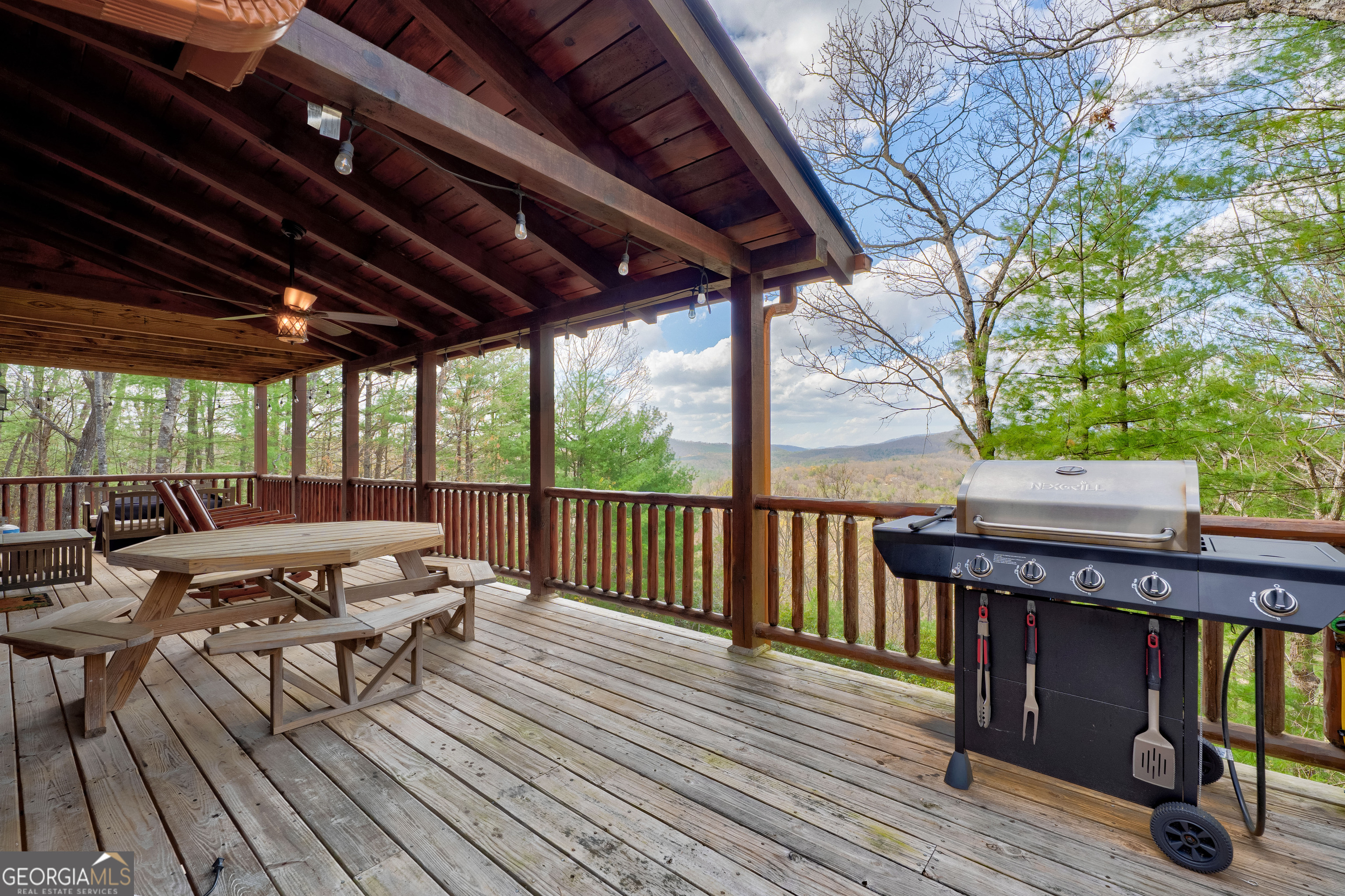 425 Rhonda Lane Mineral Bluff GA 30559