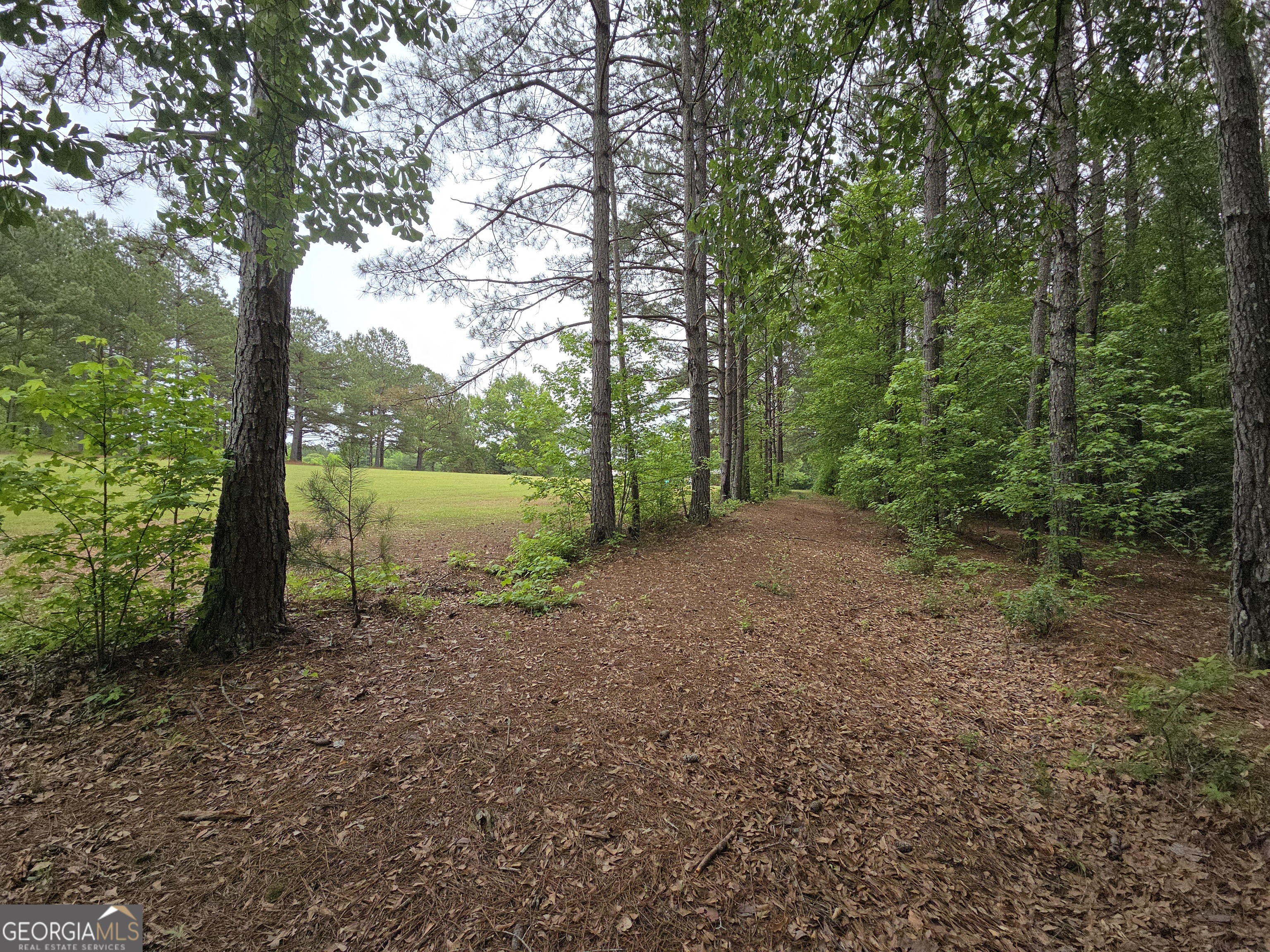 395 E Milner Road Zebulon GA 30295