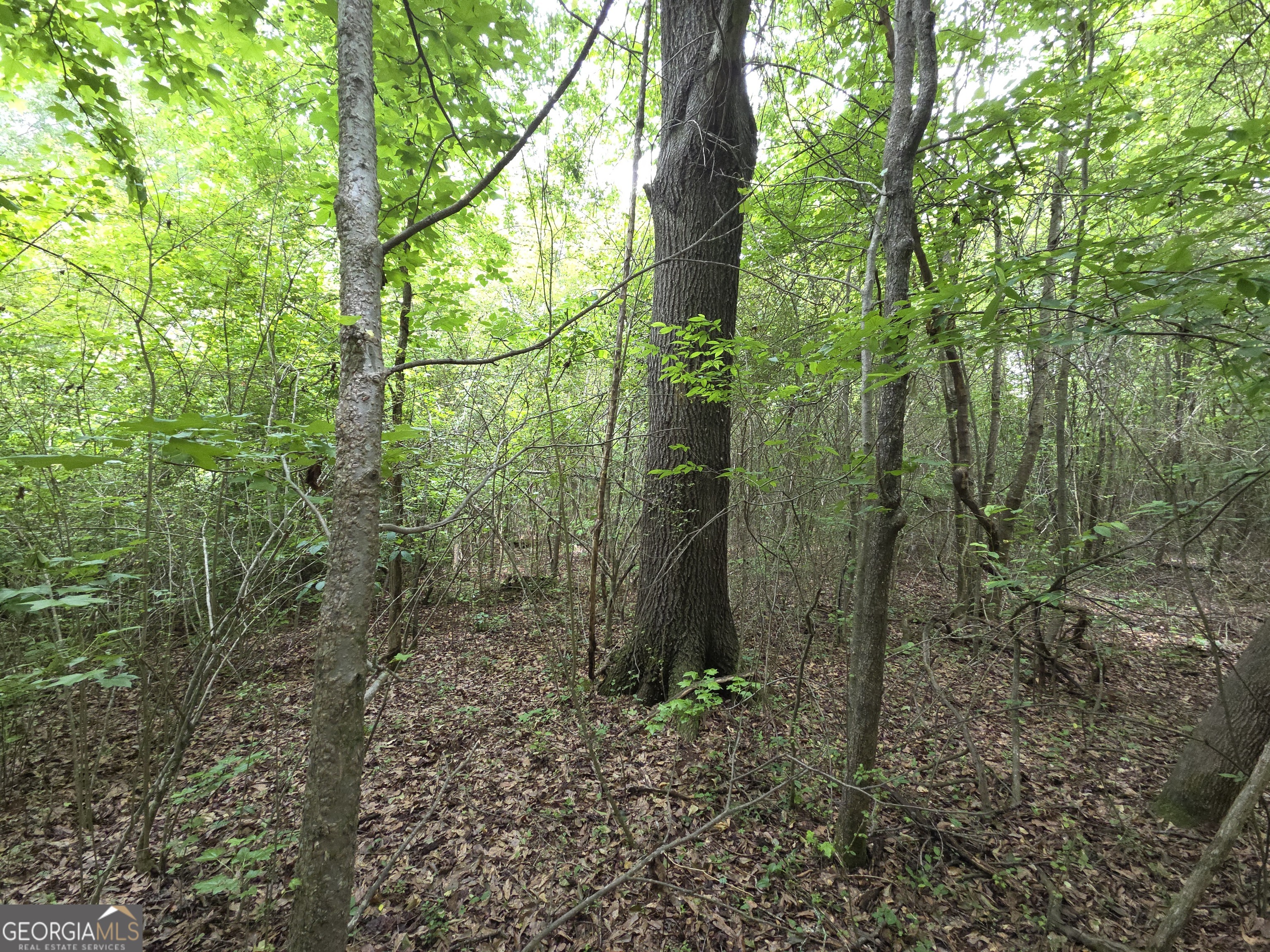395 E Milner Road Zebulon GA 30295