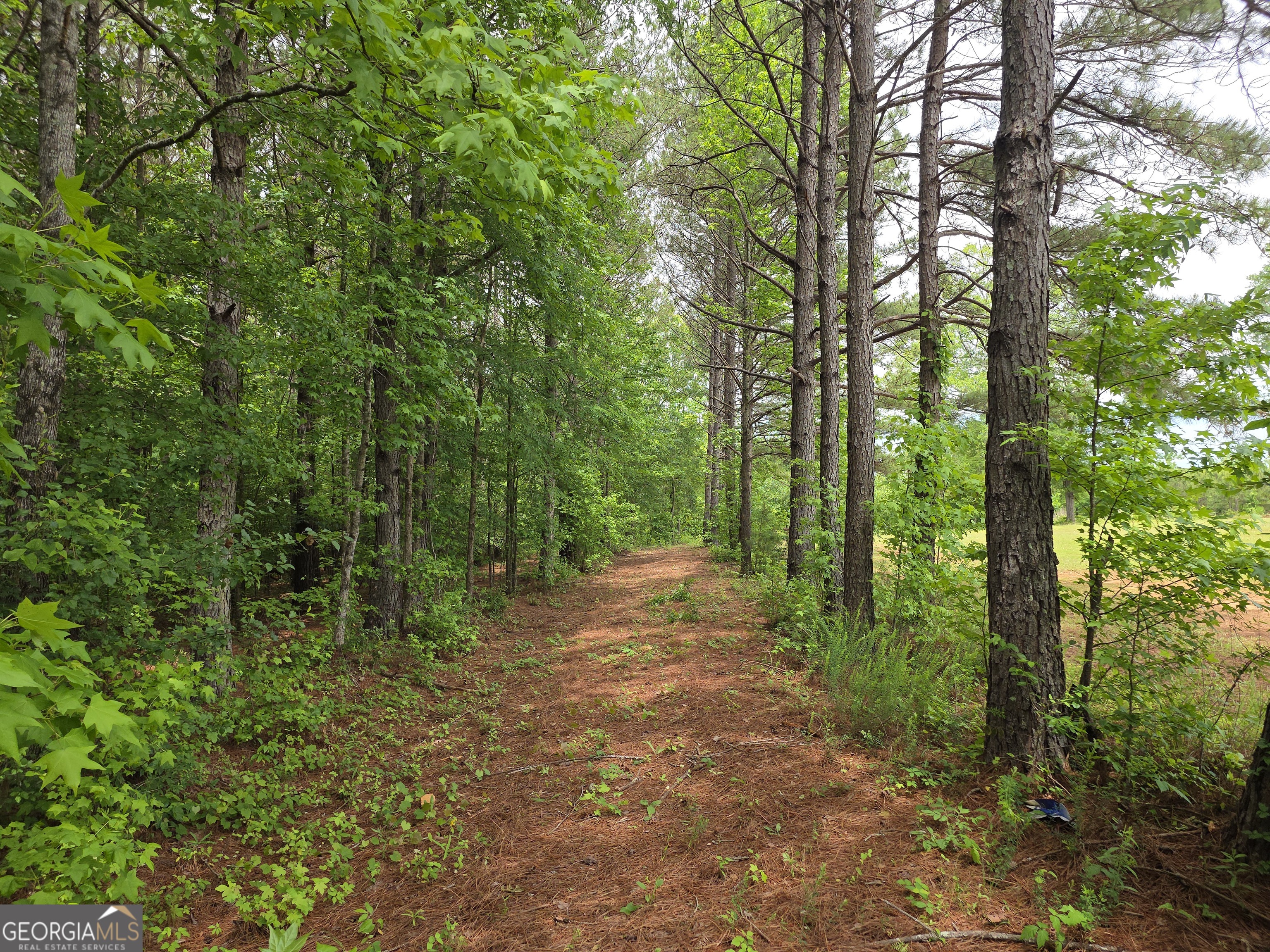 395 E Milner Road Zebulon GA 30295