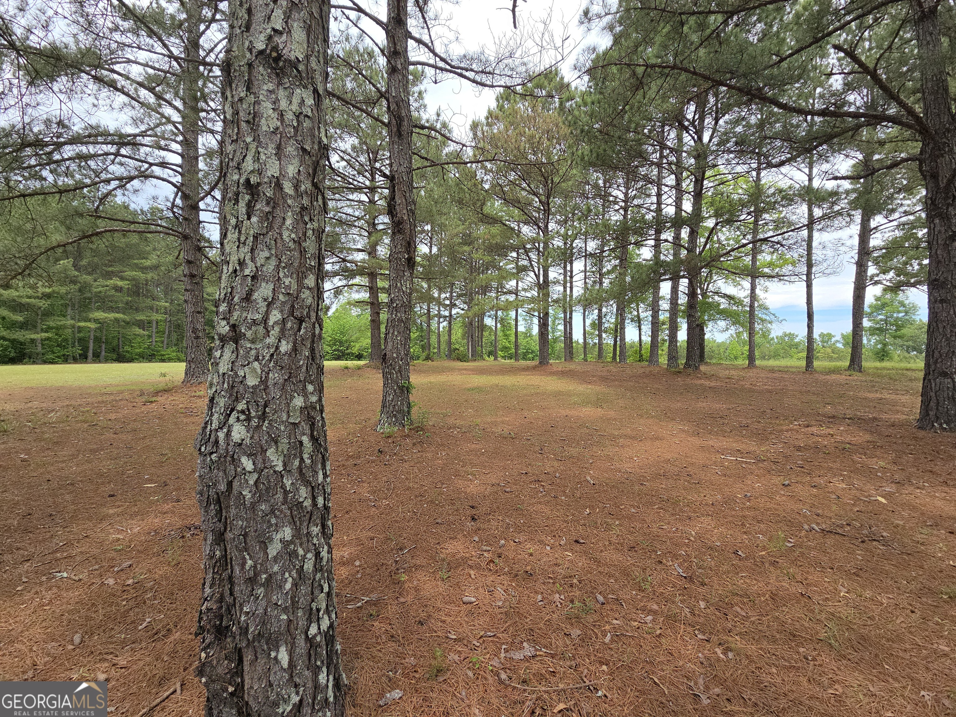 395 E Milner Road Zebulon GA 30295