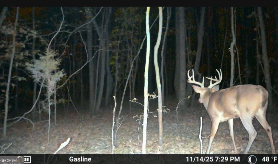 395 E Milner Road Zebulon GA 30295